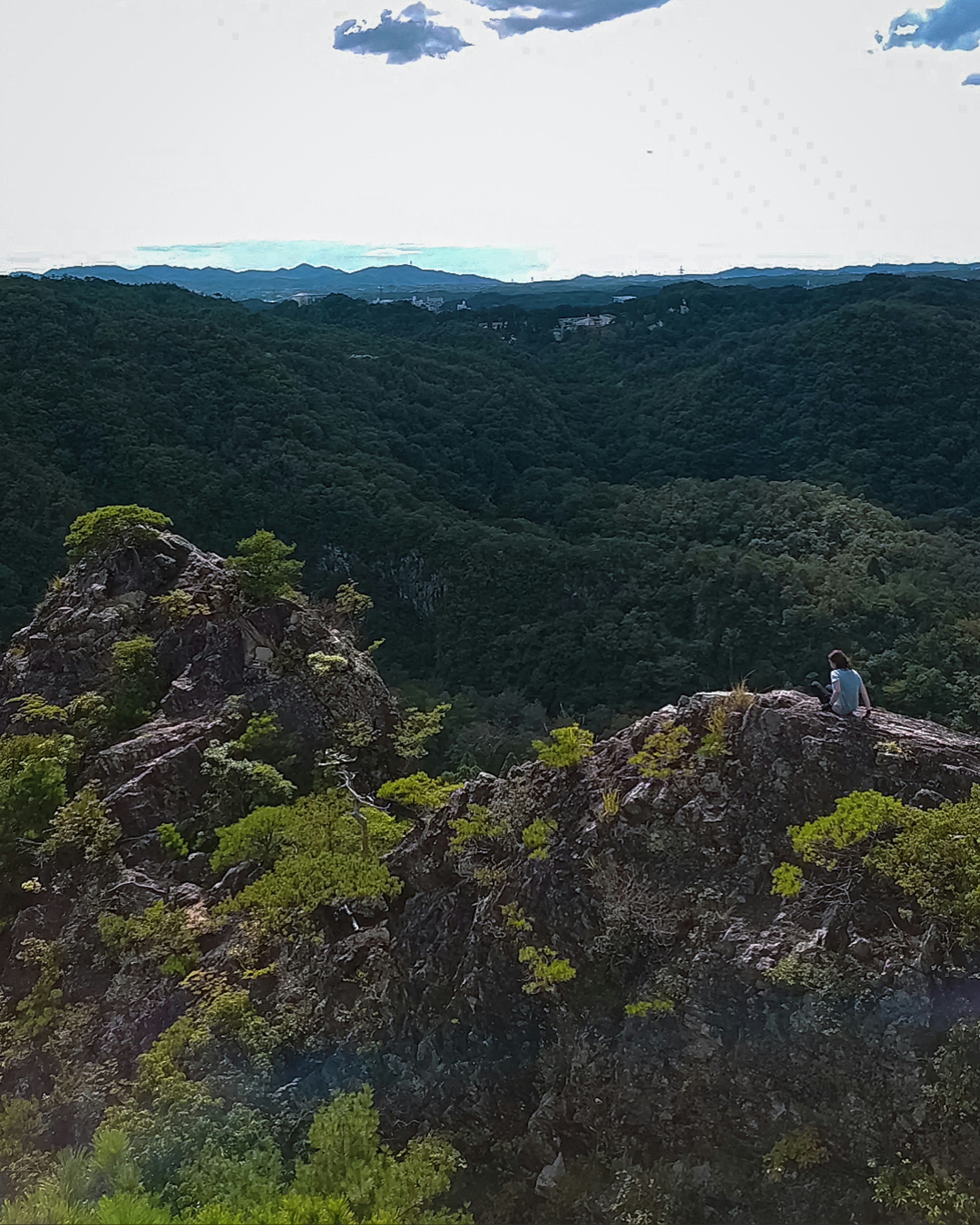 A person standing on a rocky outcrop with lush green mountains in the background