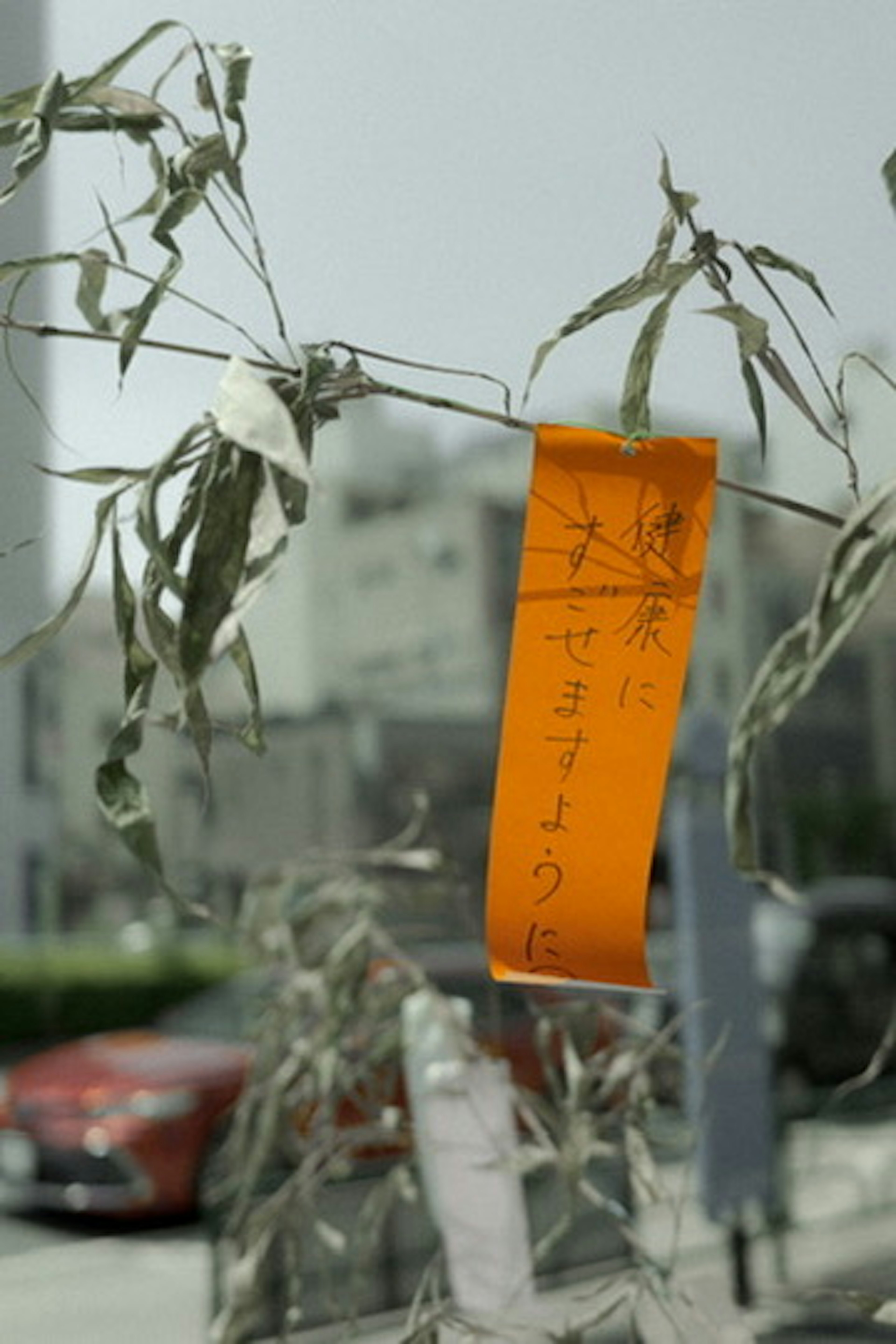 An orange strip of paper hanging among leaves