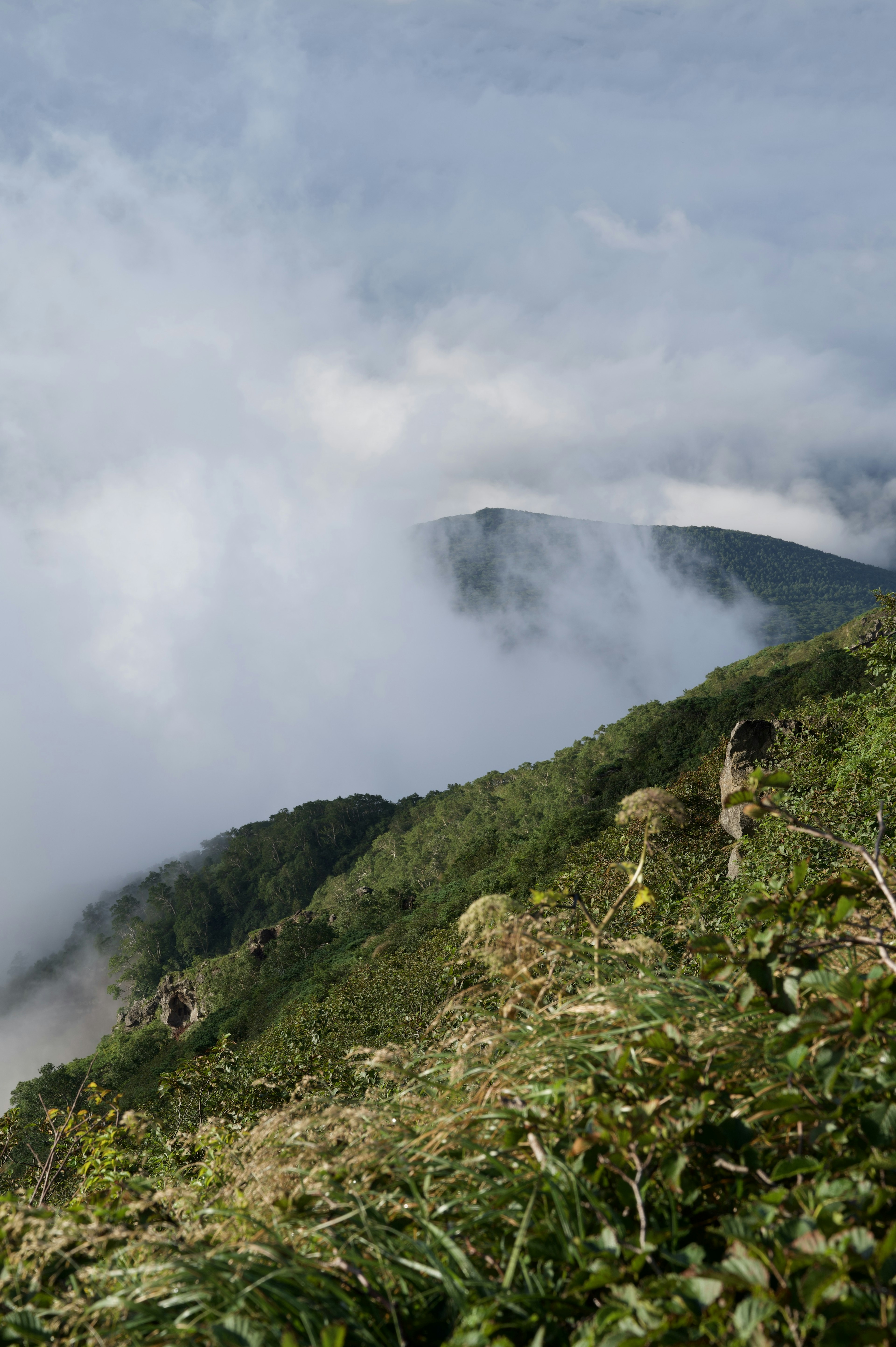 Pemandangan gunung yang diselimuti kabut dengan rumput hijau dan garis besar gunung yang jauh