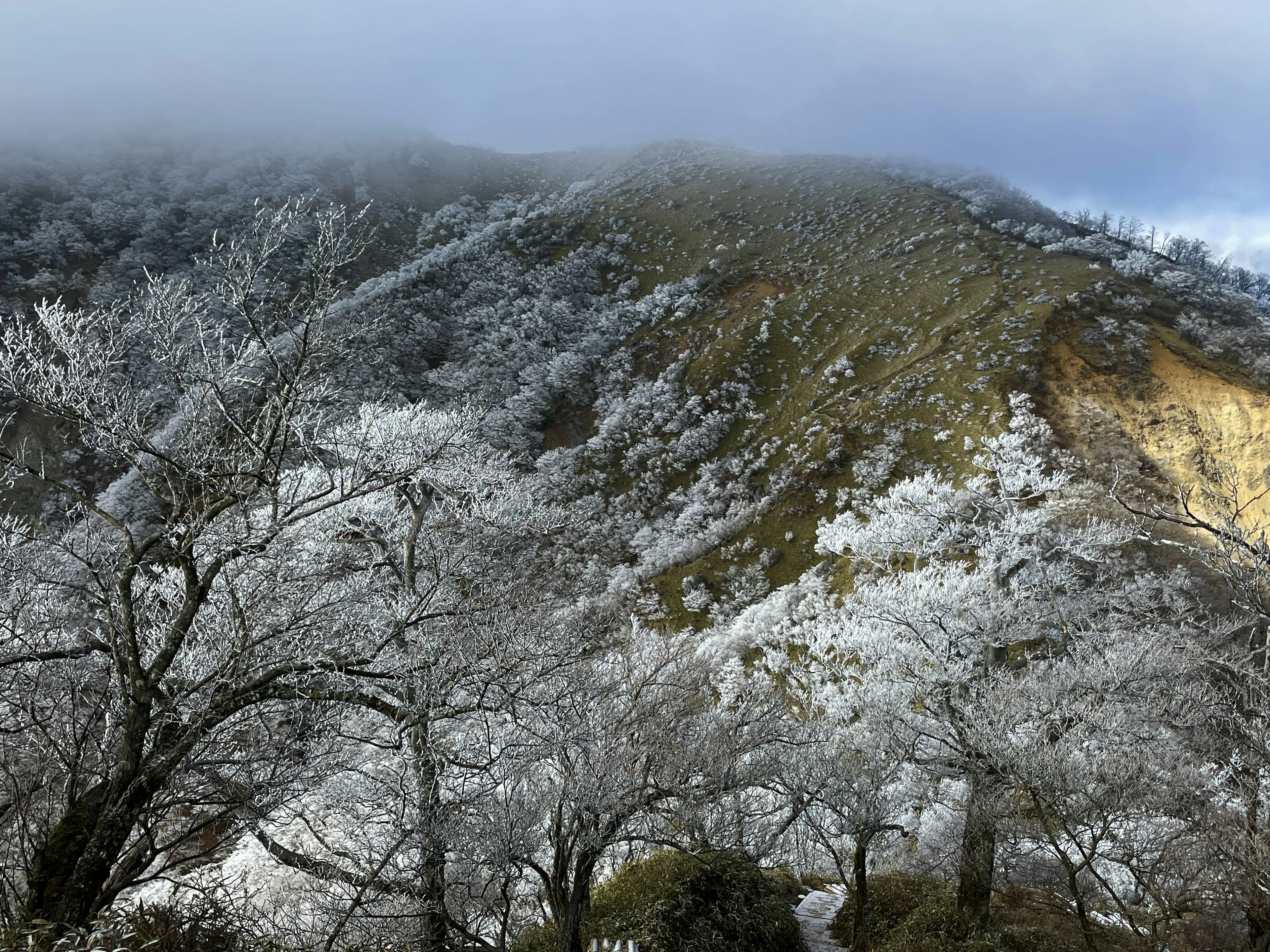 雪に覆われた山と霧の景色