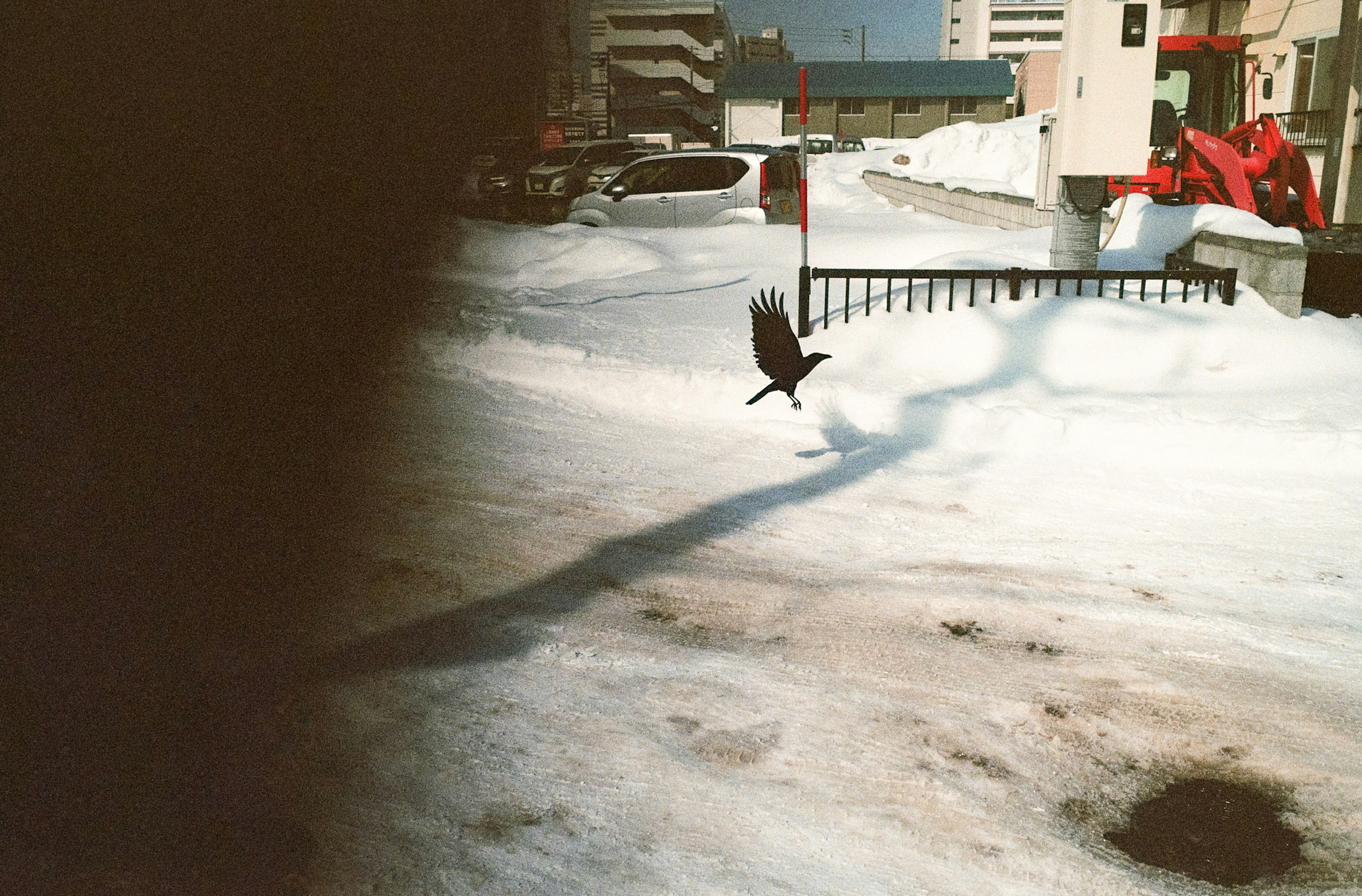 A bird flying over a snow-covered street with buildings in the background