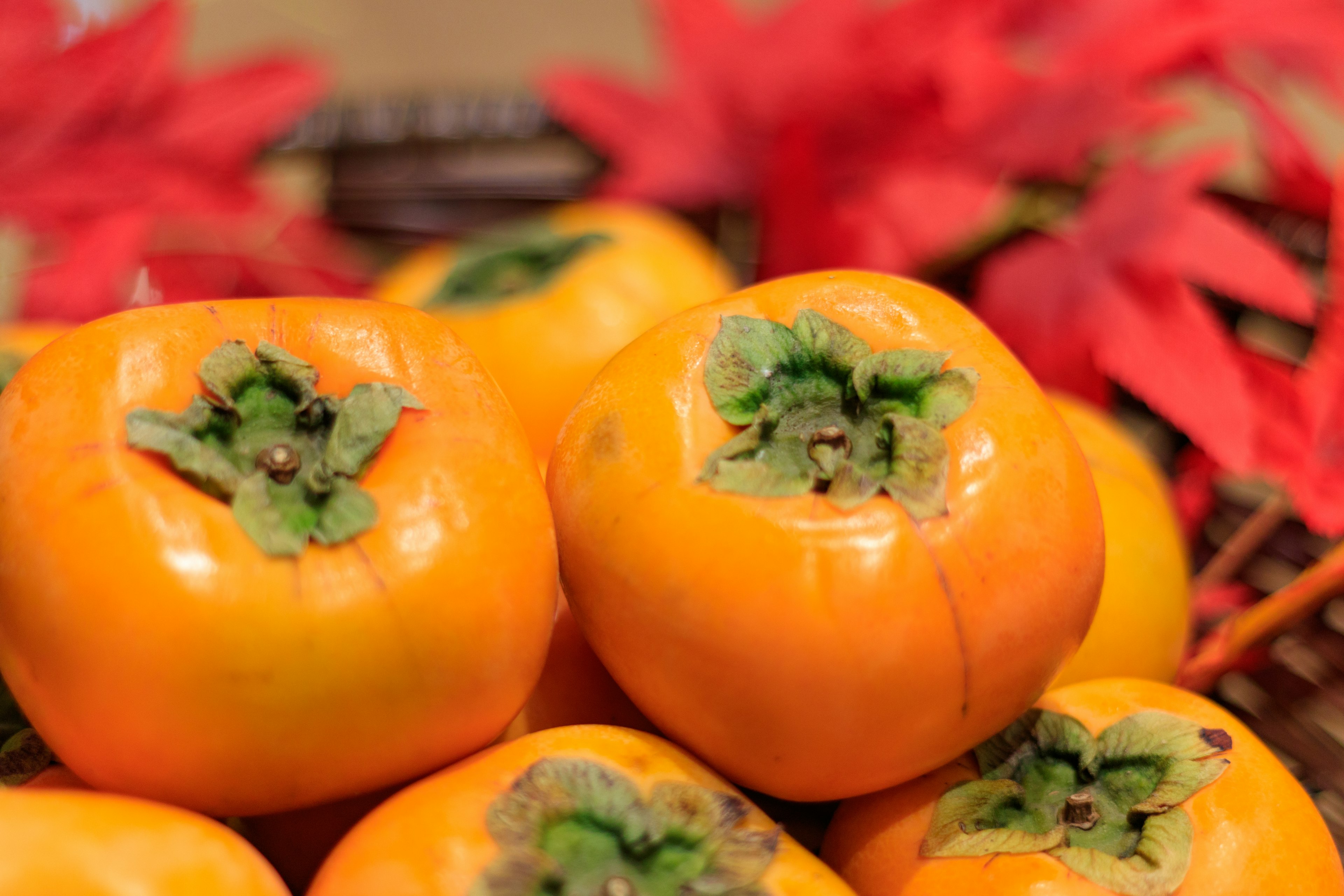 Orange persimmons with red leaves in an autumn setting