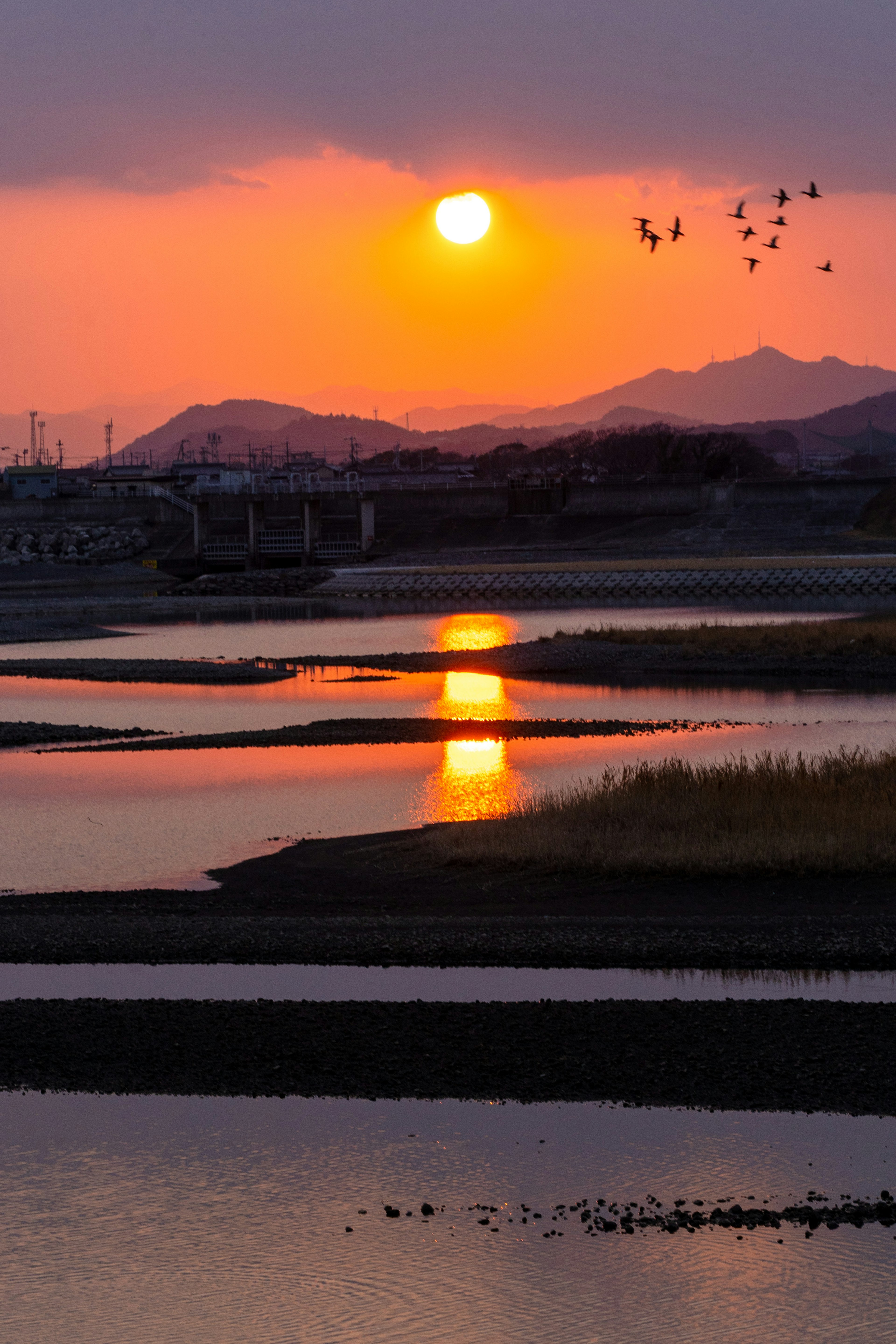 美しい夕日が川に反射している風景 鳥が空を飛んでいる