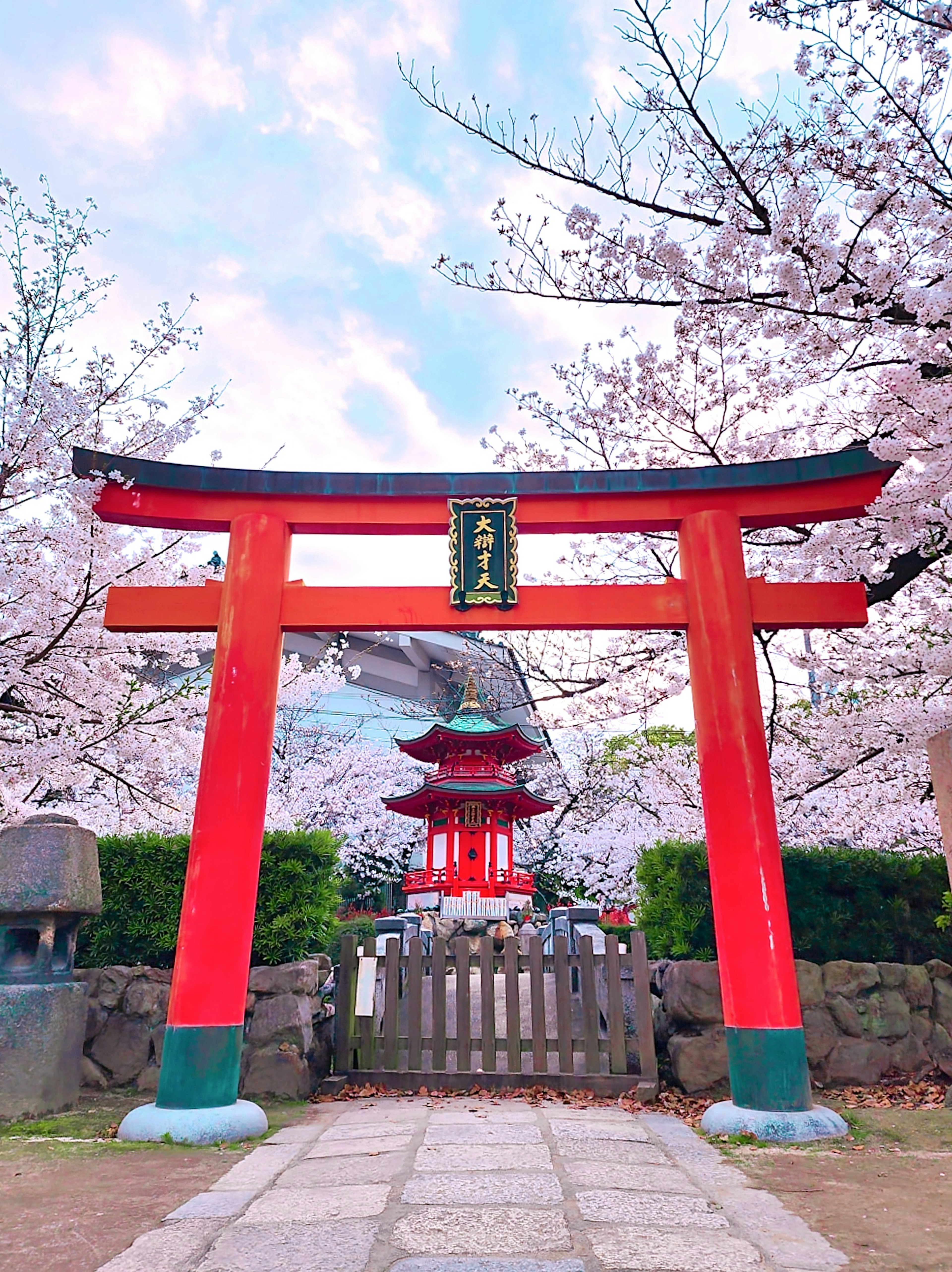 Red torii gate framed by cherry blossoms leading to a shrine