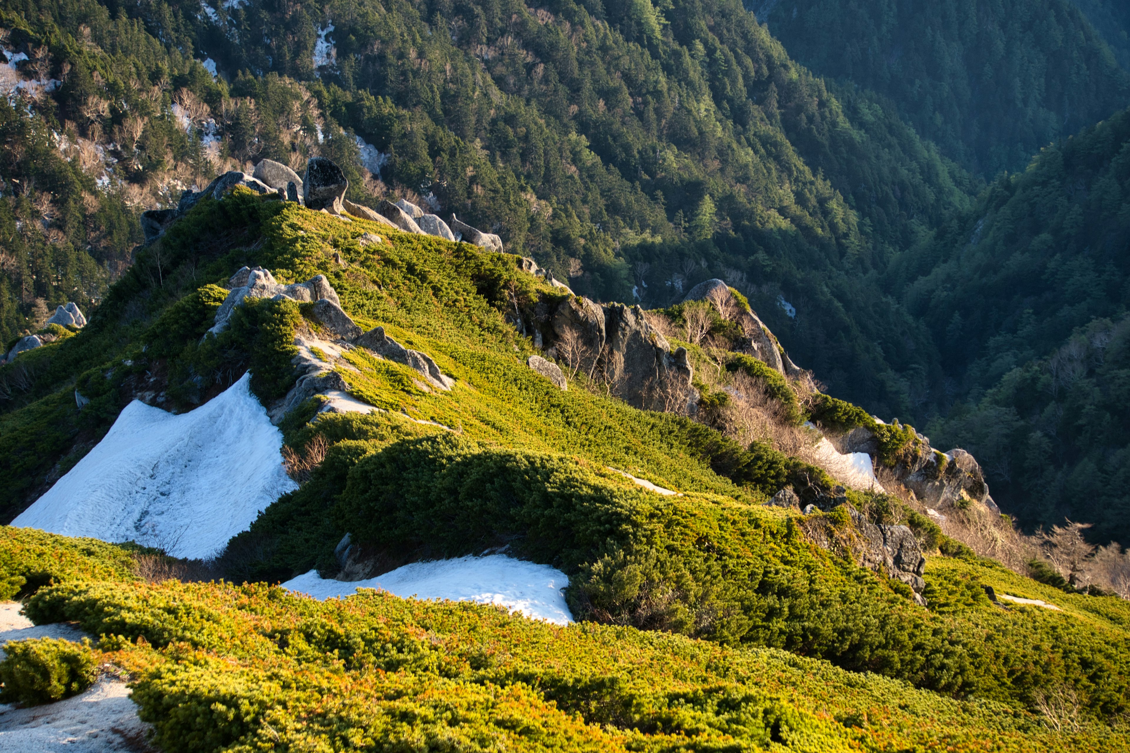 Vue panoramique d'une pente de montagne verdoyante avec des zones de neige restante