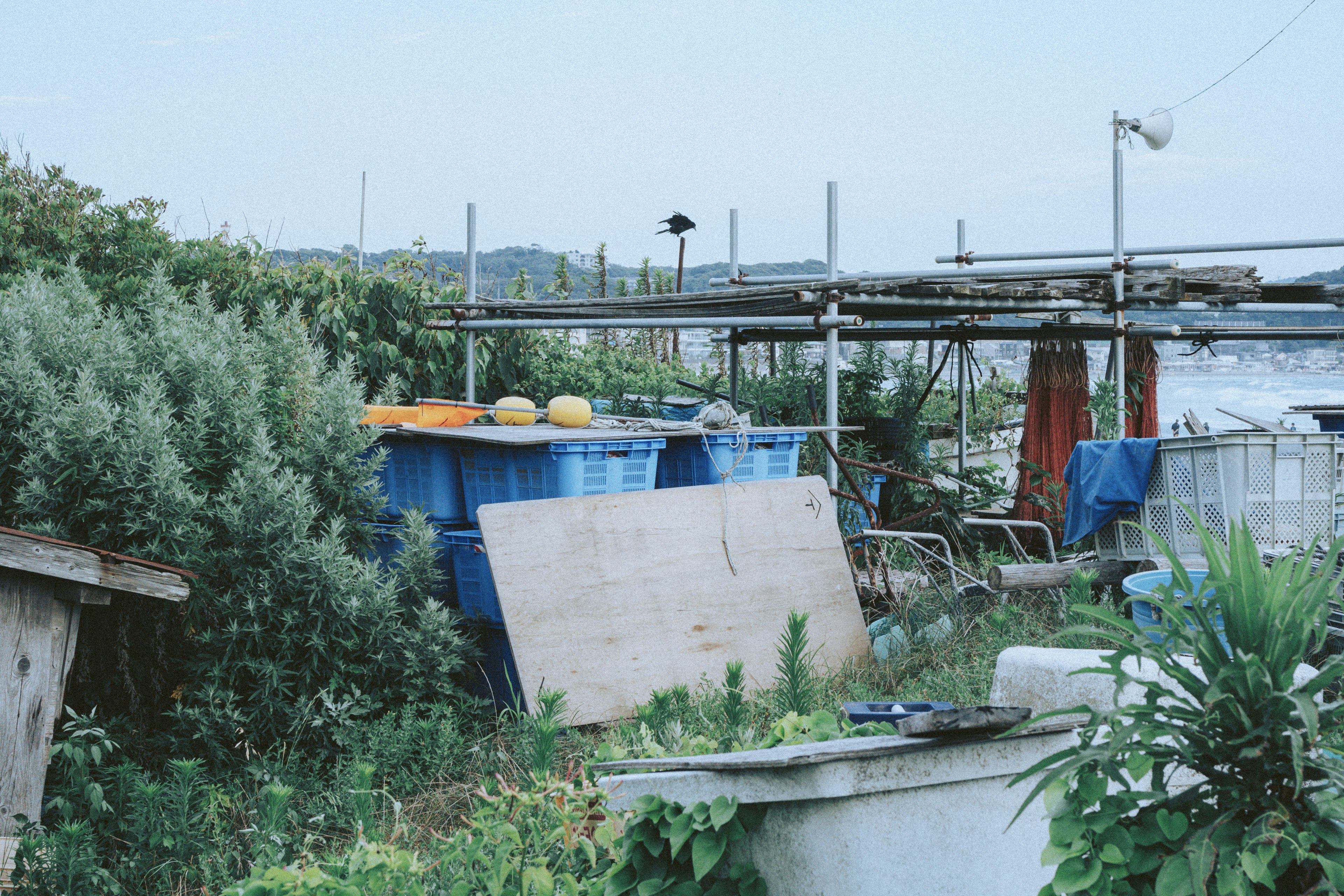 Un paysage avec feuillage vert présentant des conteneurs bleus et des planches en bois