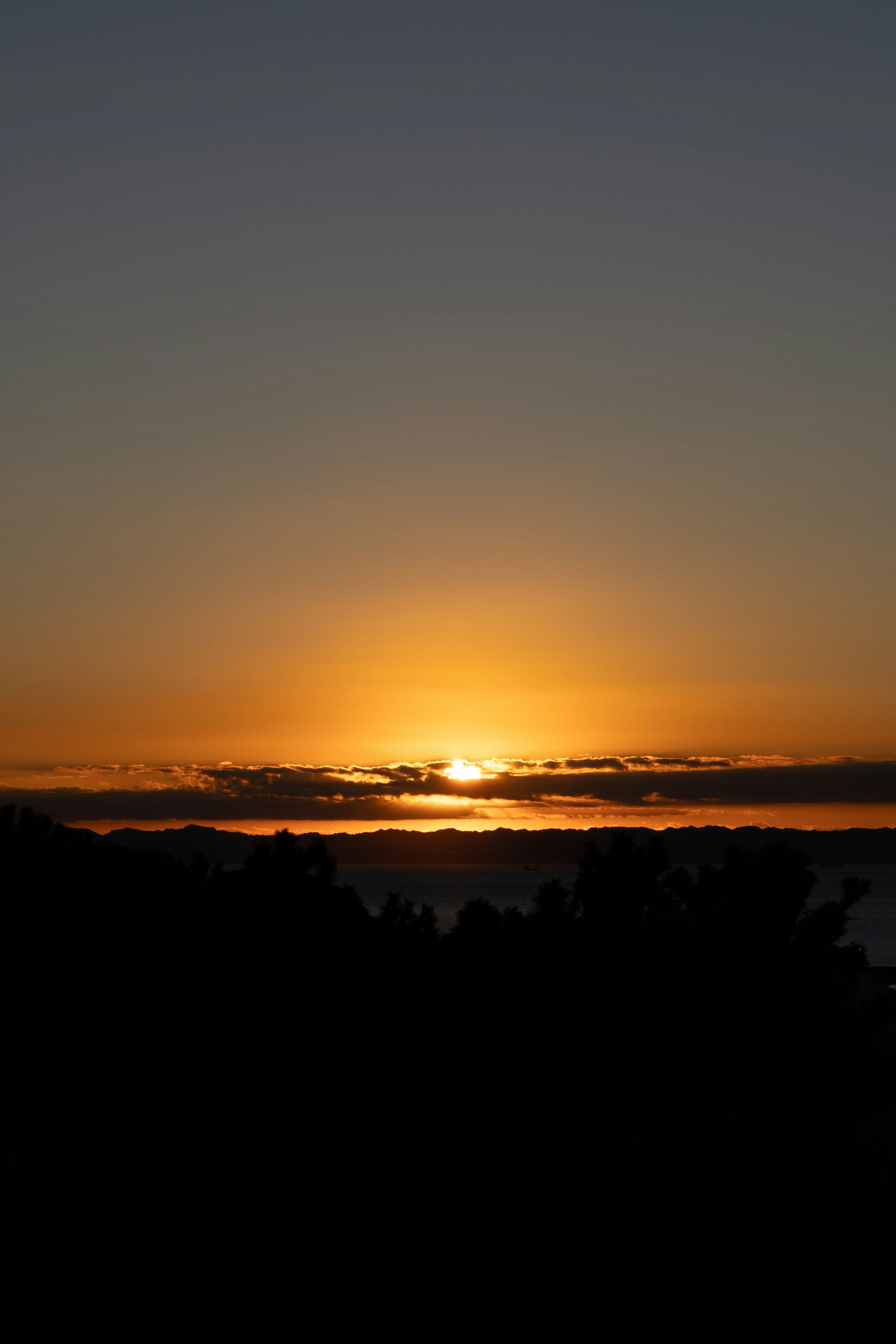 夕日が沈む美しい風景 黒いシルエットの木々が見える