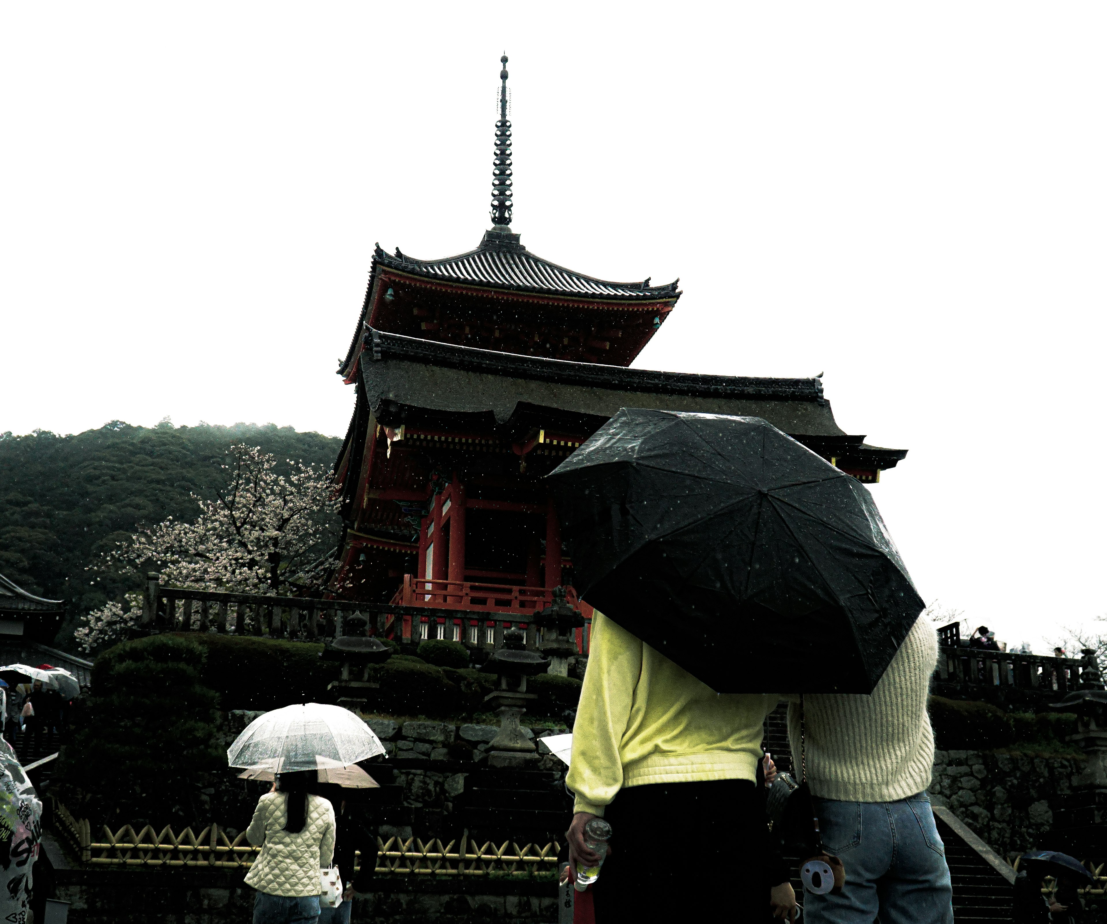 雨の中の清水寺と傘を持つ人々