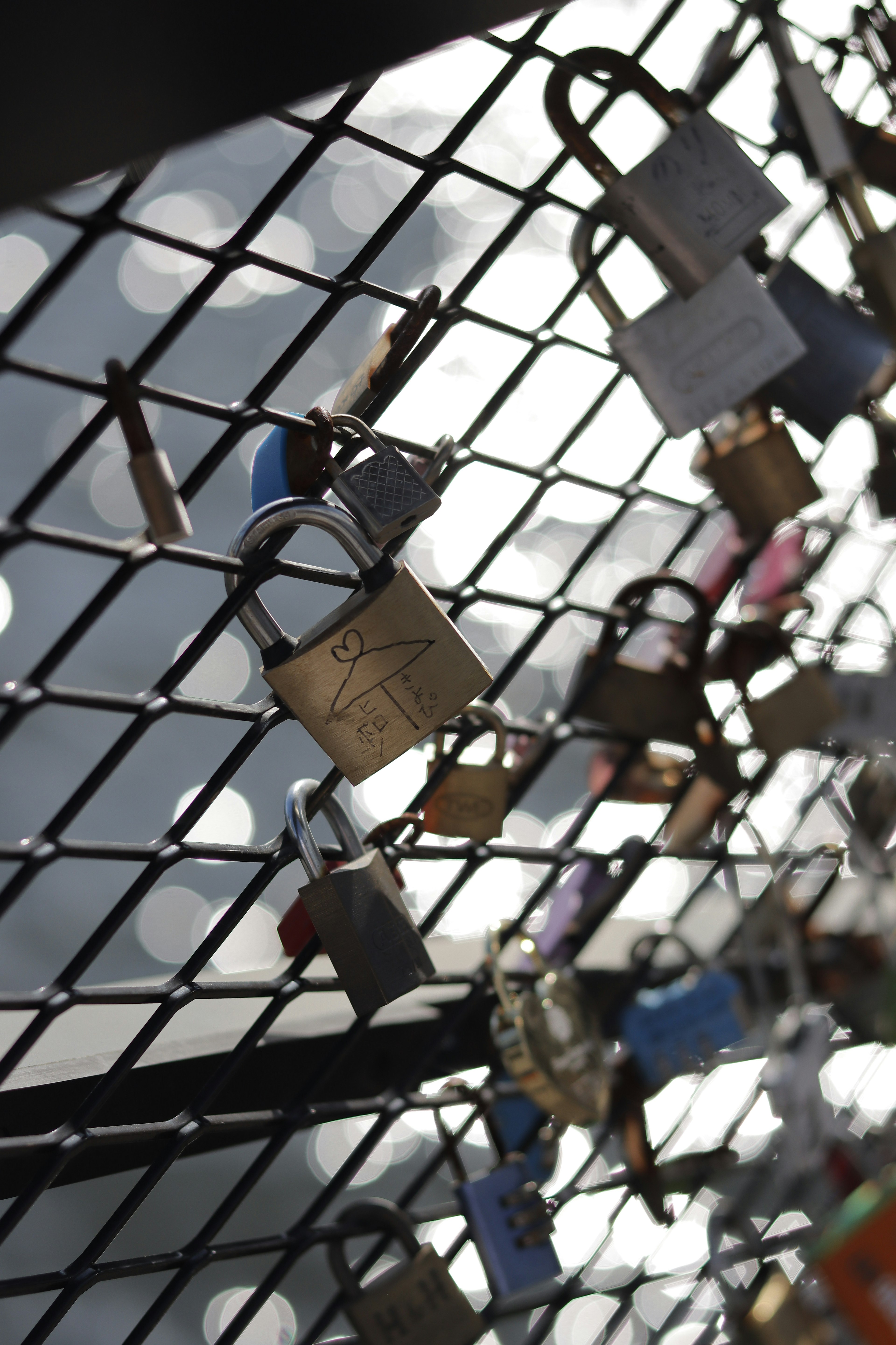 Close-up photo of padlocks on a fence