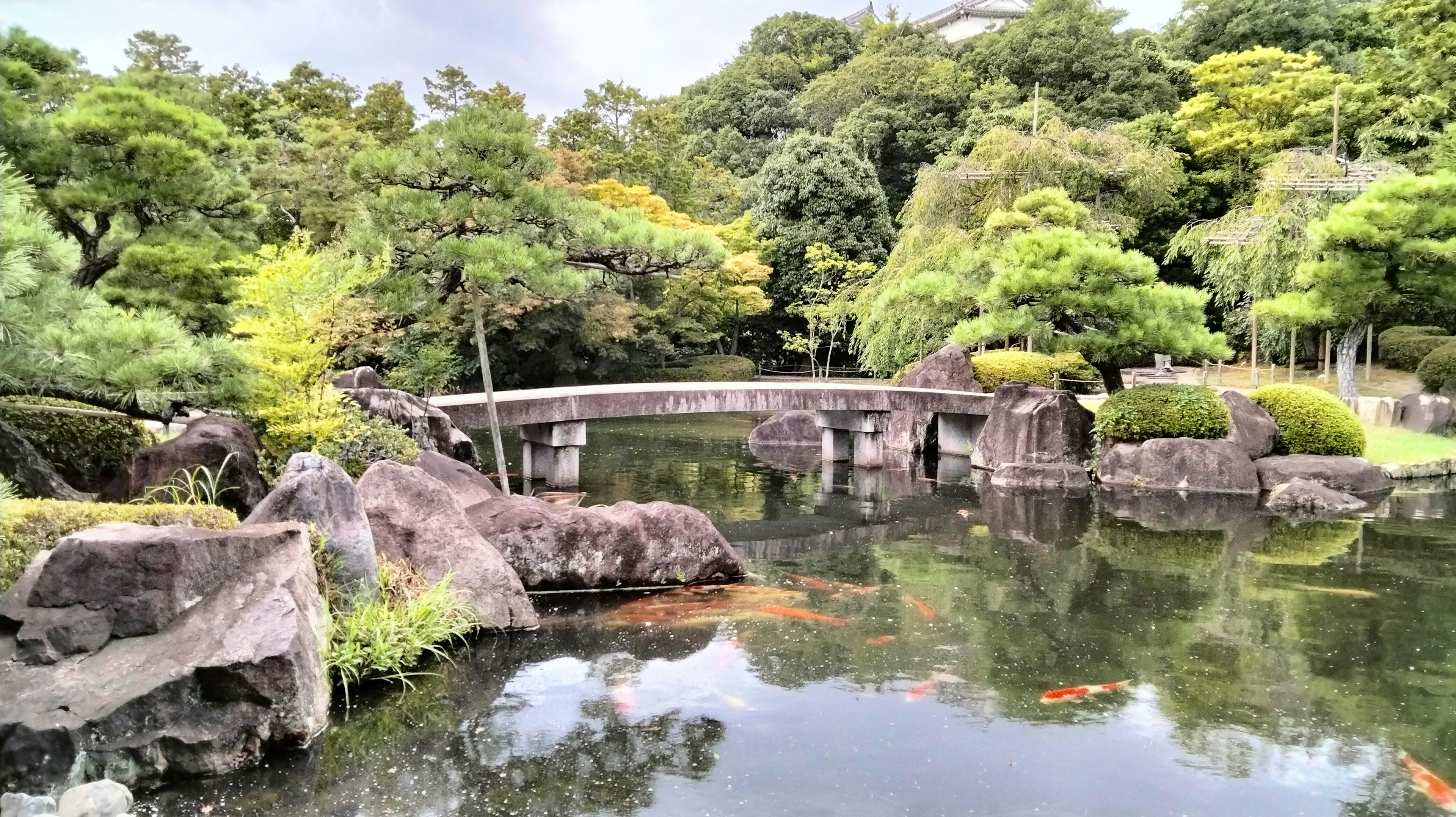 Jembatan batu di atas kolam taman yang tenang dikelilingi oleh pepohonan rimbun