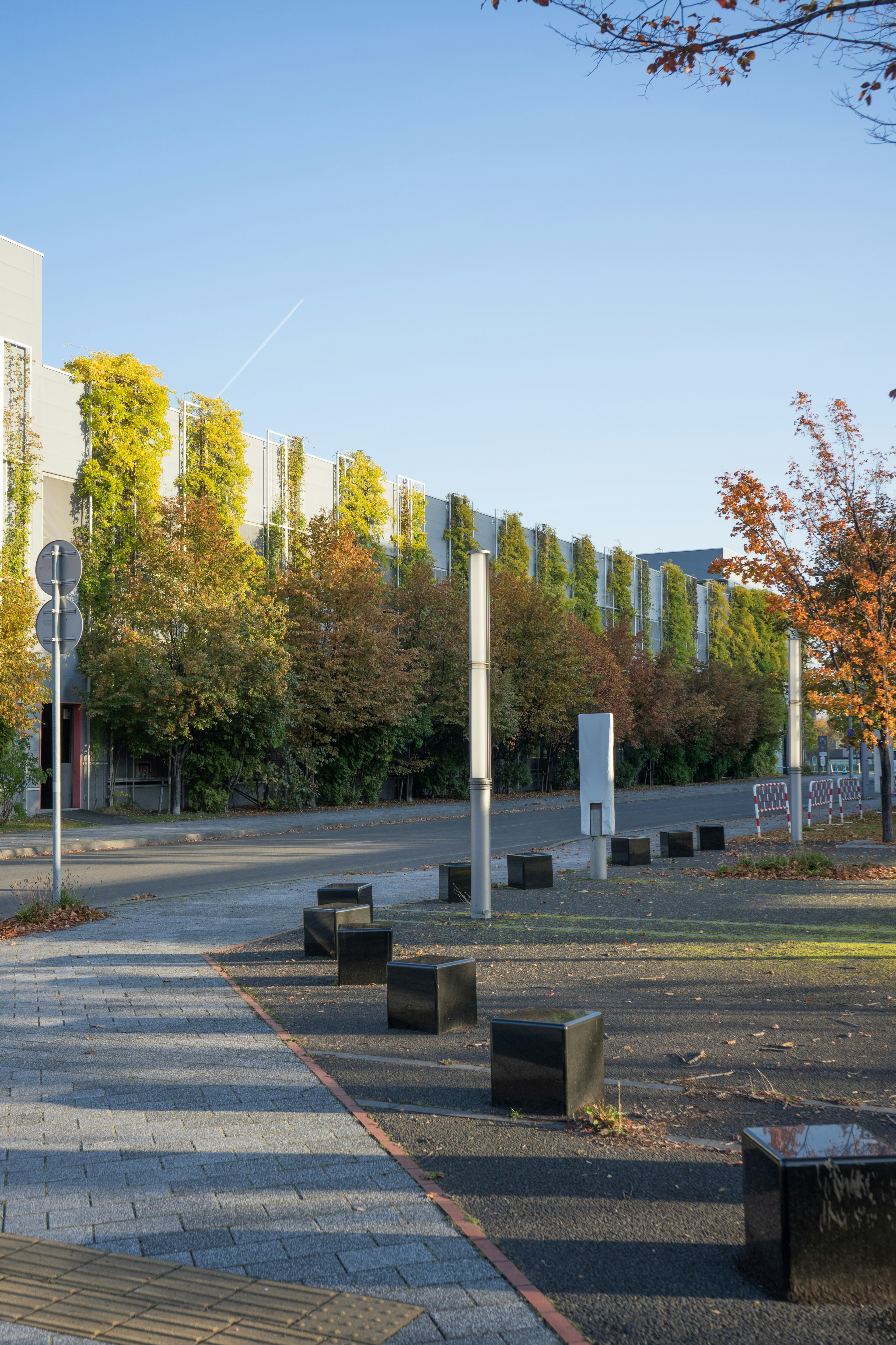 Park pathway with autumn trees and clear blue sky