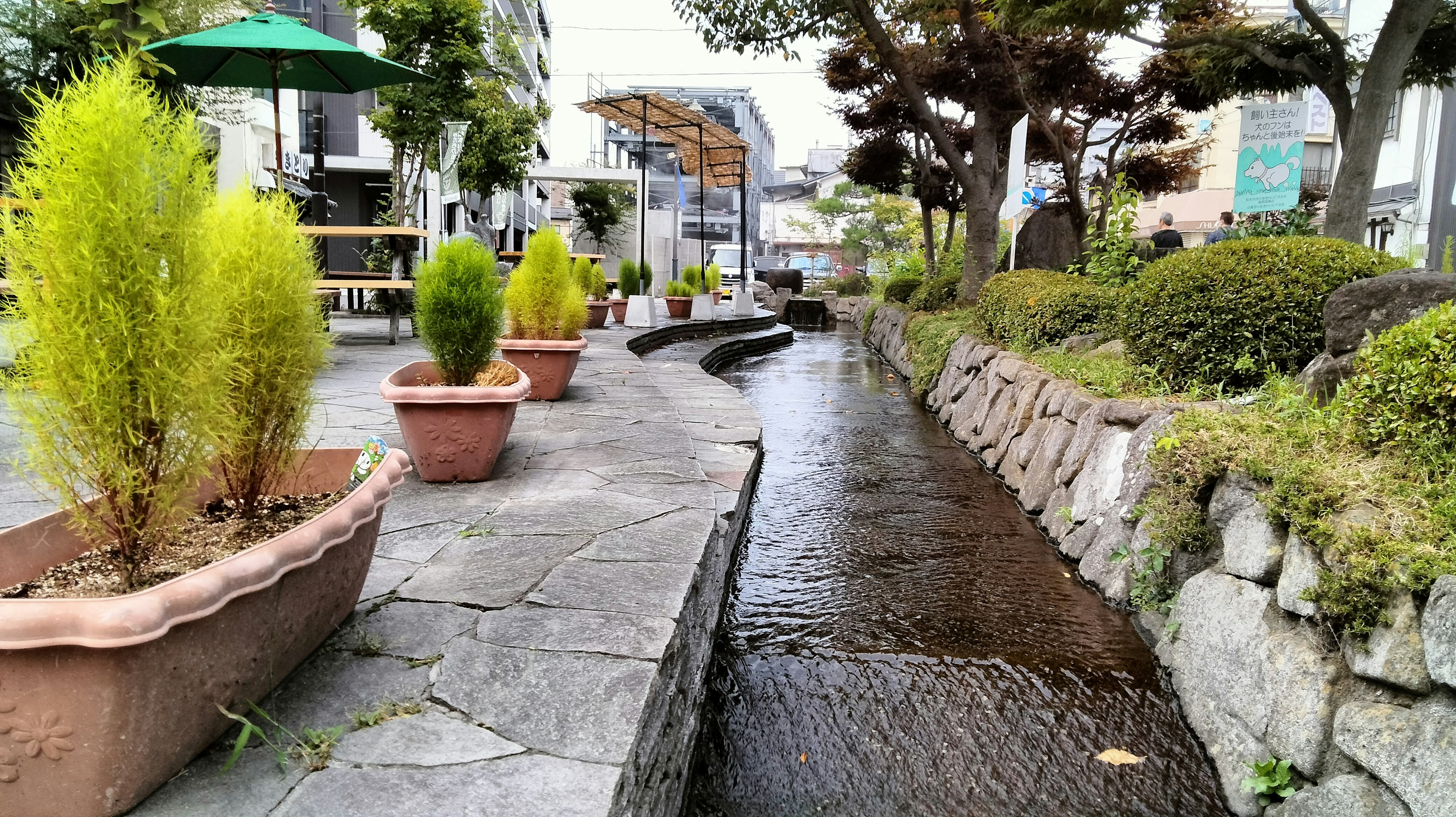 Vista exuberante junto al río con plantas en macetas y agua fluyendo