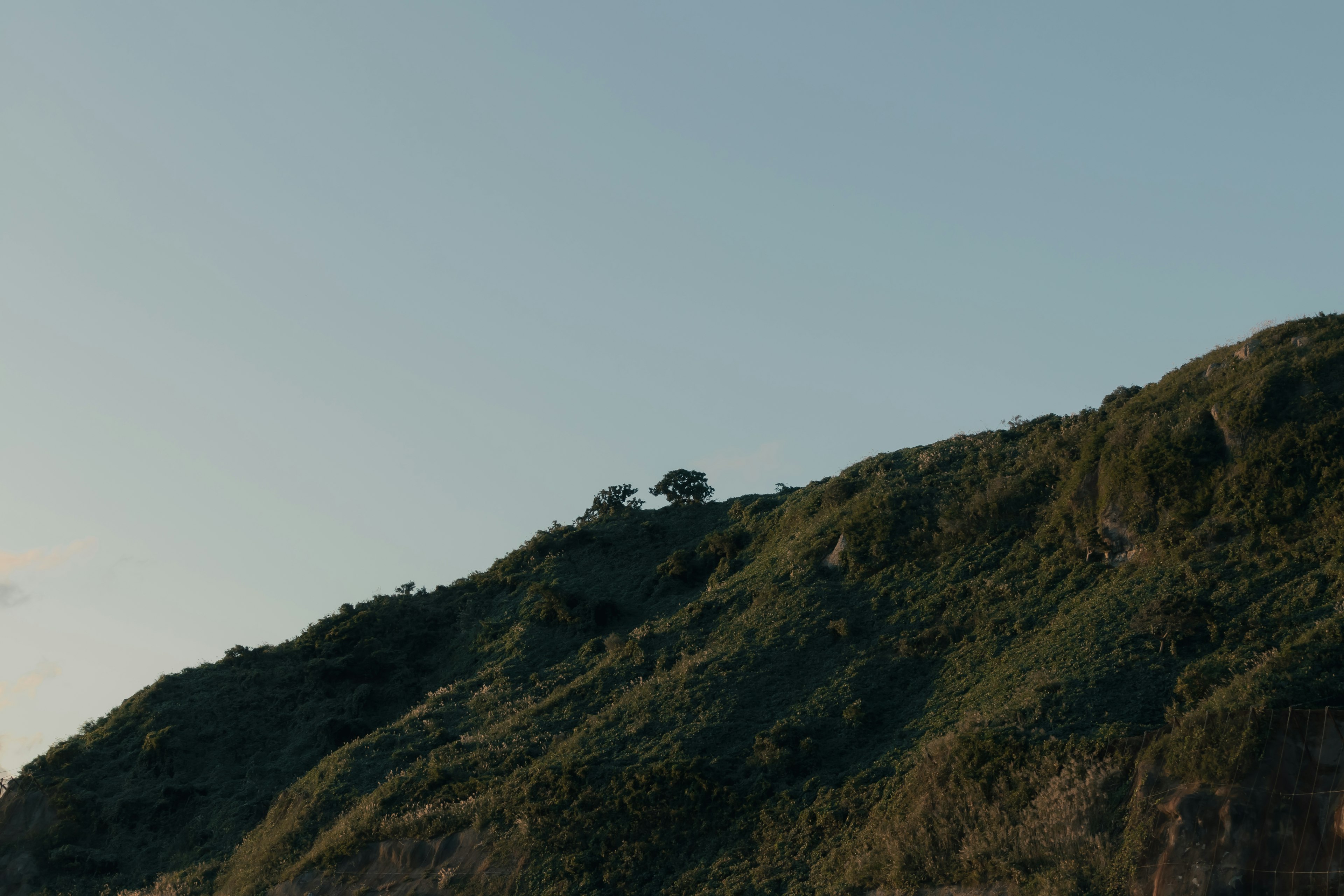 Un paisaje con un árbol solitario en una colina verde