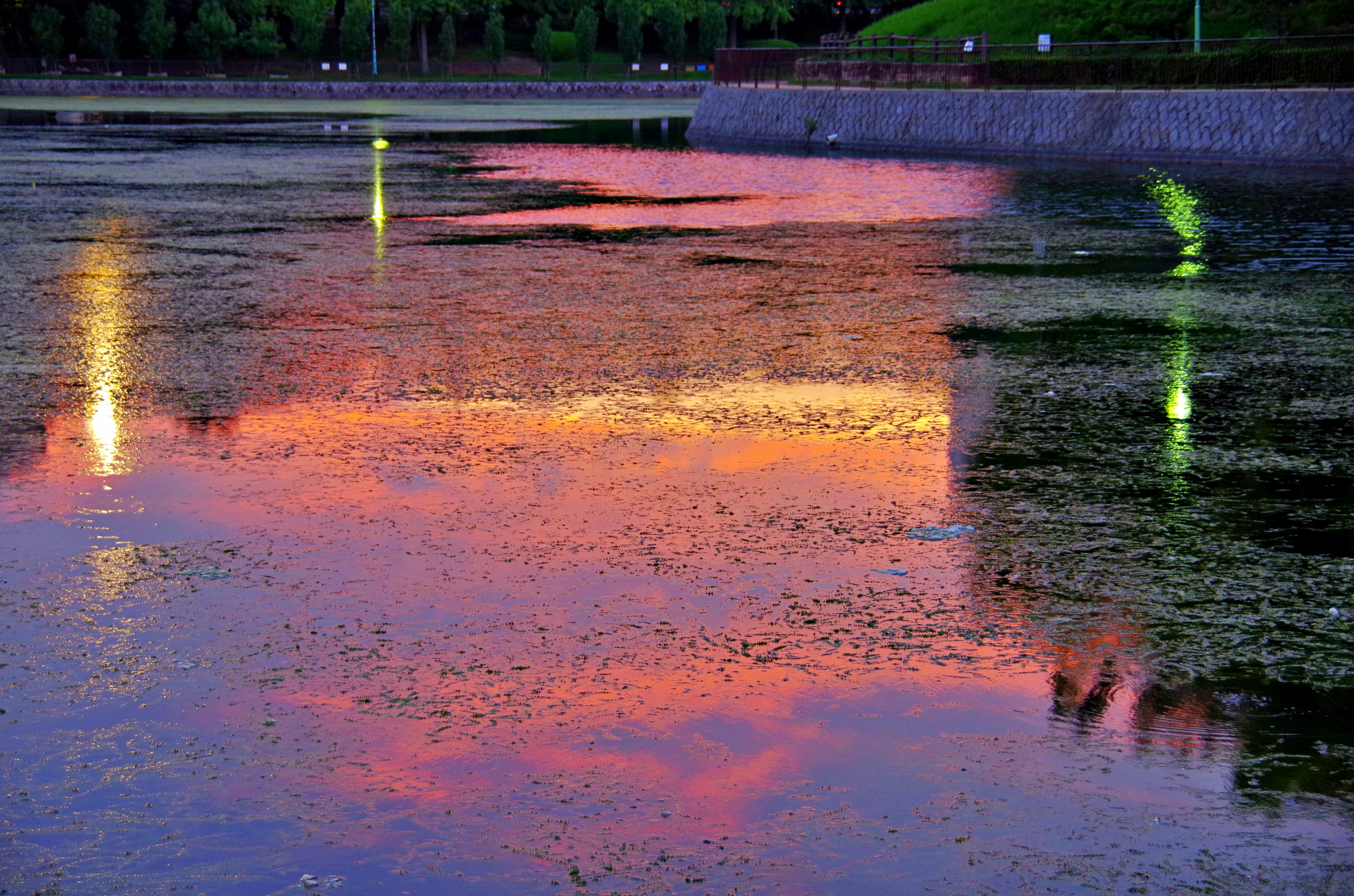 Ruhiger See, der die Farben des Sonnenuntergangs und das Licht der Straßenlaternen spiegelt