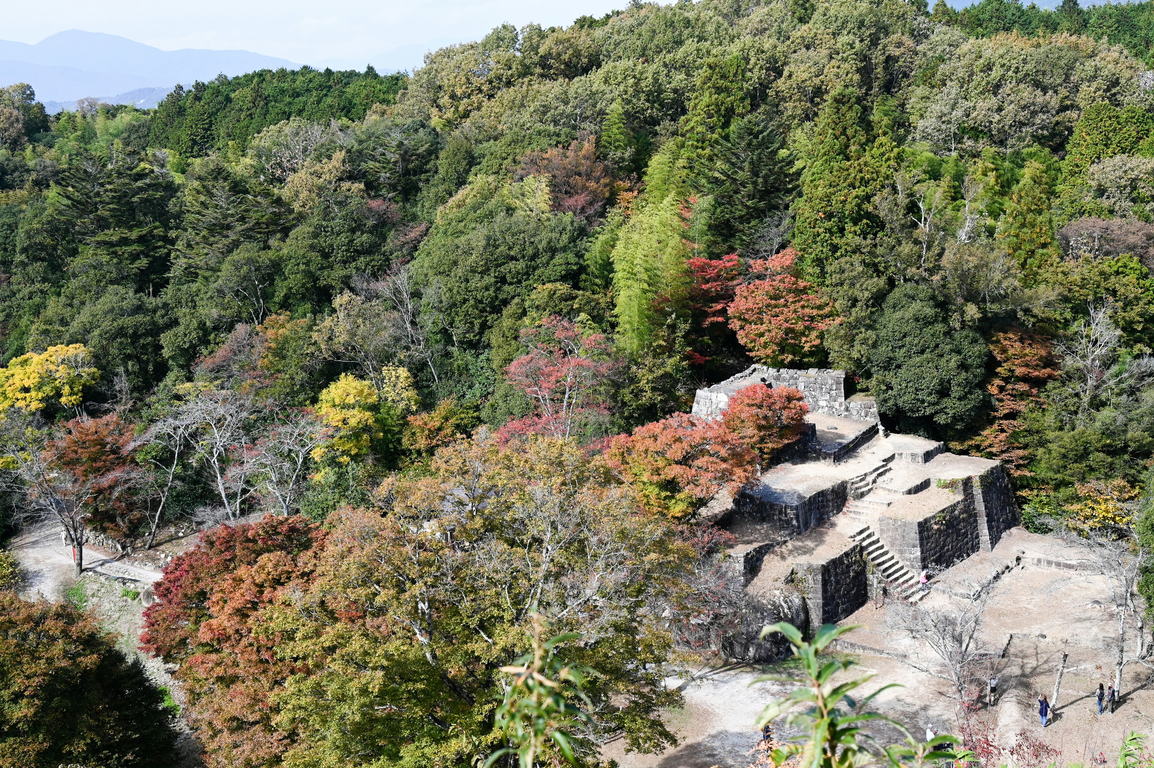 緑豊かな森林に囲まれた古代の遺跡の景観 色とりどりの葉が秋を感じさせる