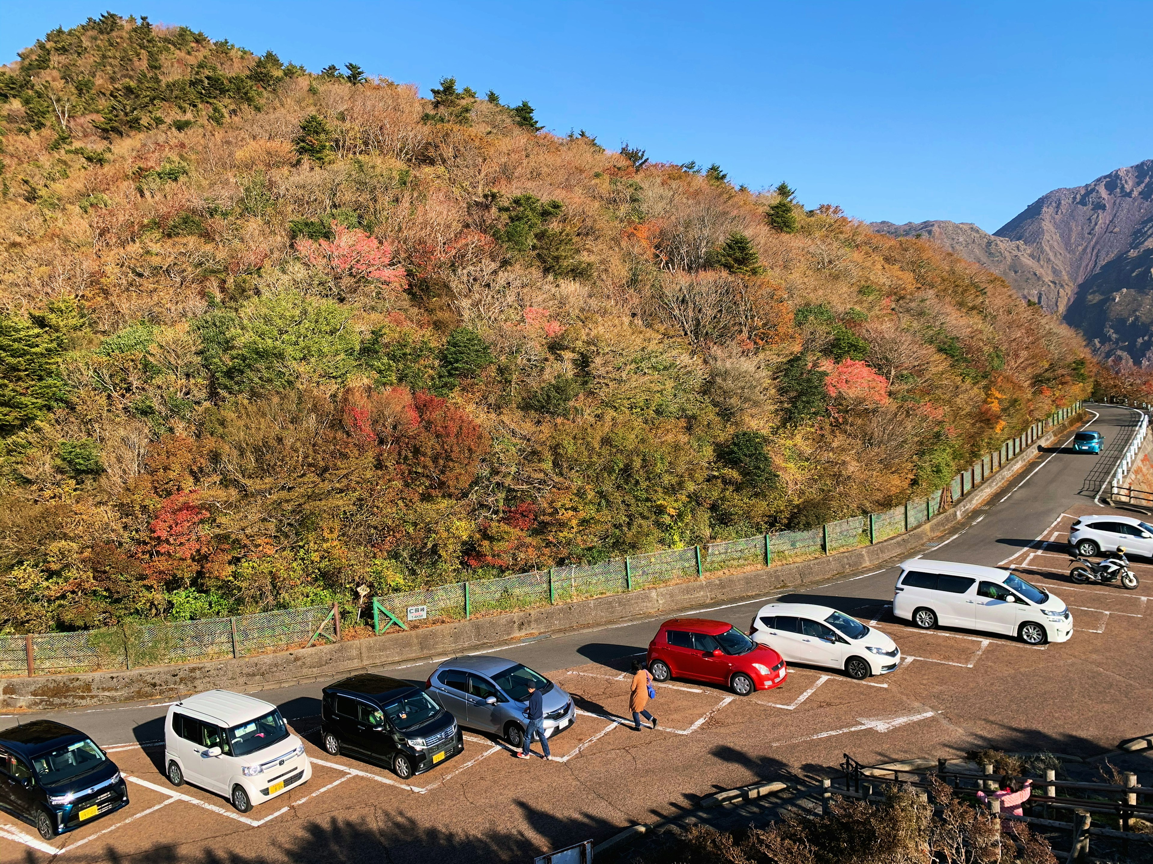 Bunte Herbstblätter auf einem Berg mit geparkten Autos