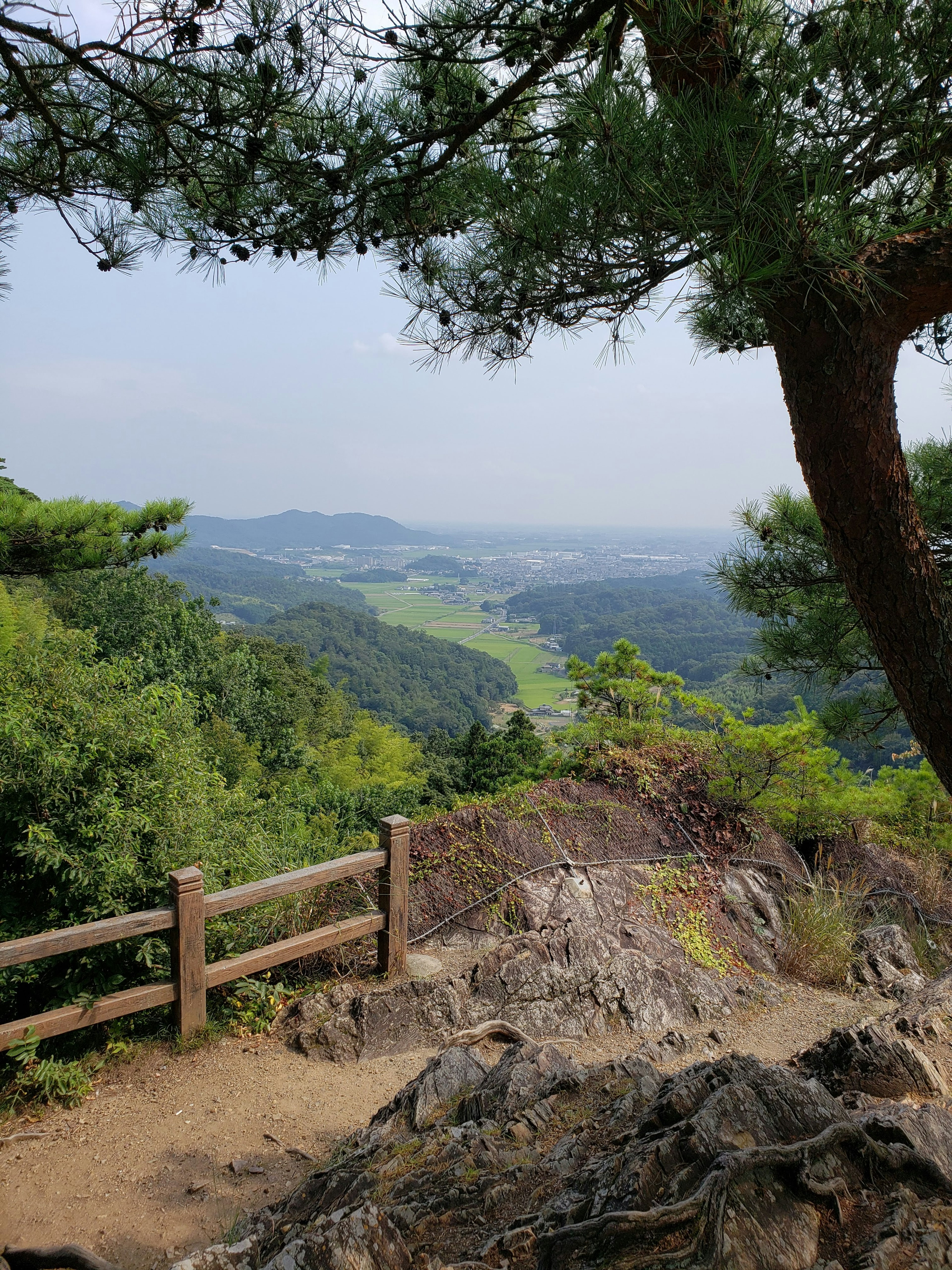 Mirador escénico con vistas a un valle verde con árboles y una cerca de madera