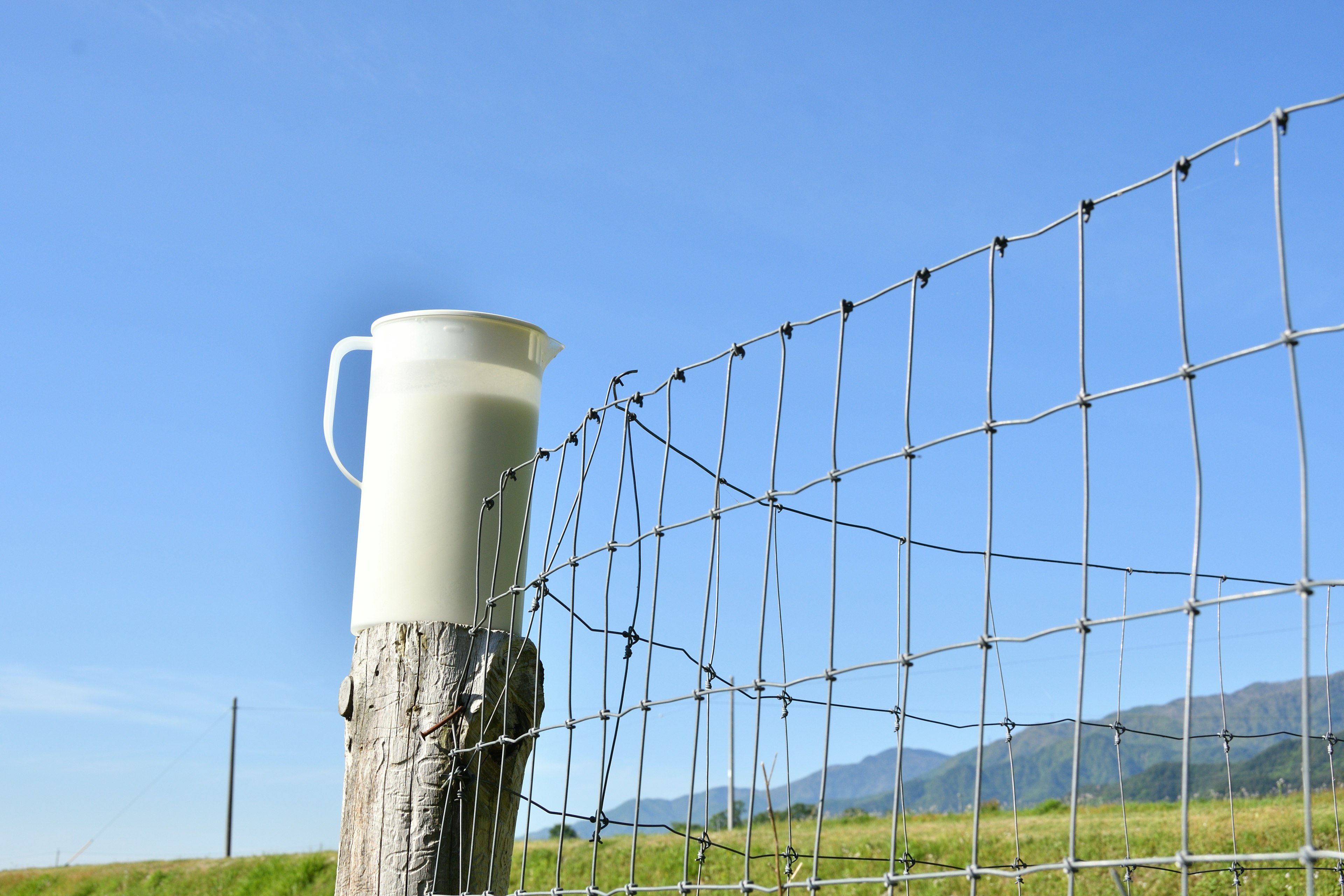 Un bricco bianco posato su un palo della recinzione sotto un cielo blu