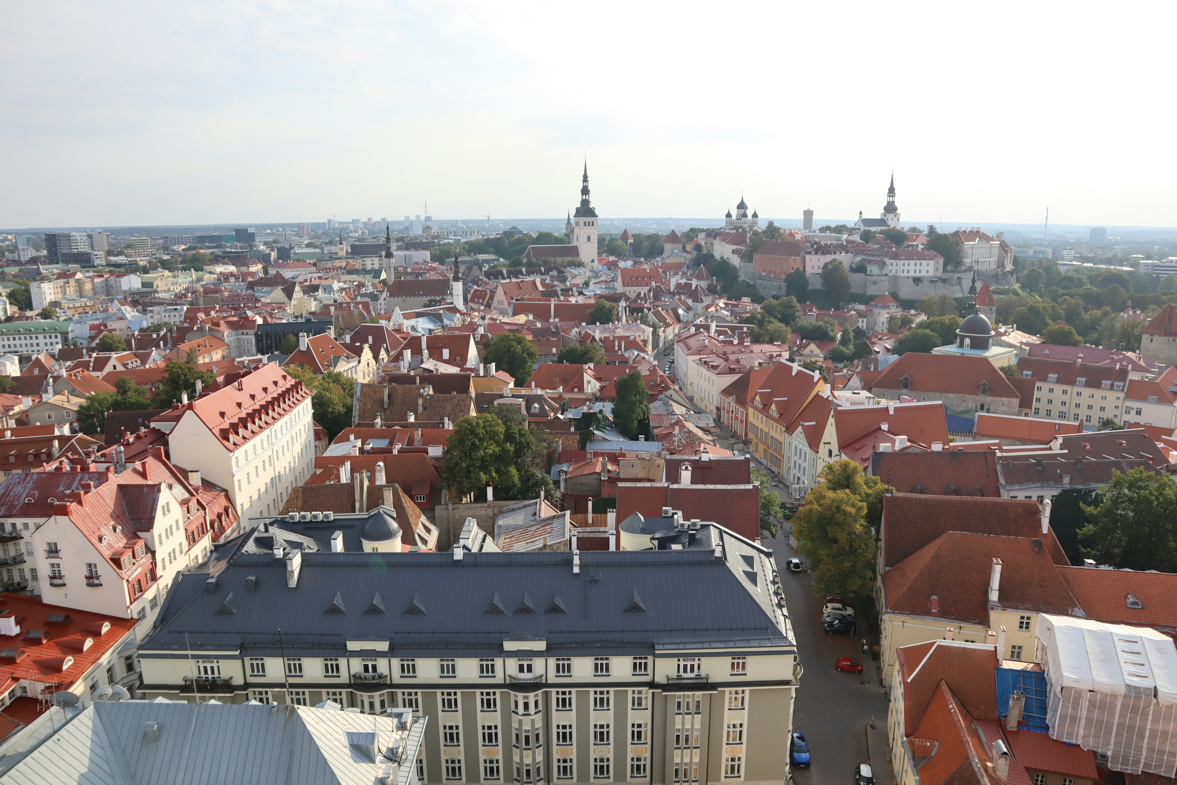 Pemandangan panorama Tallinn dengan rumah atap merah dan bangunan bersejarah