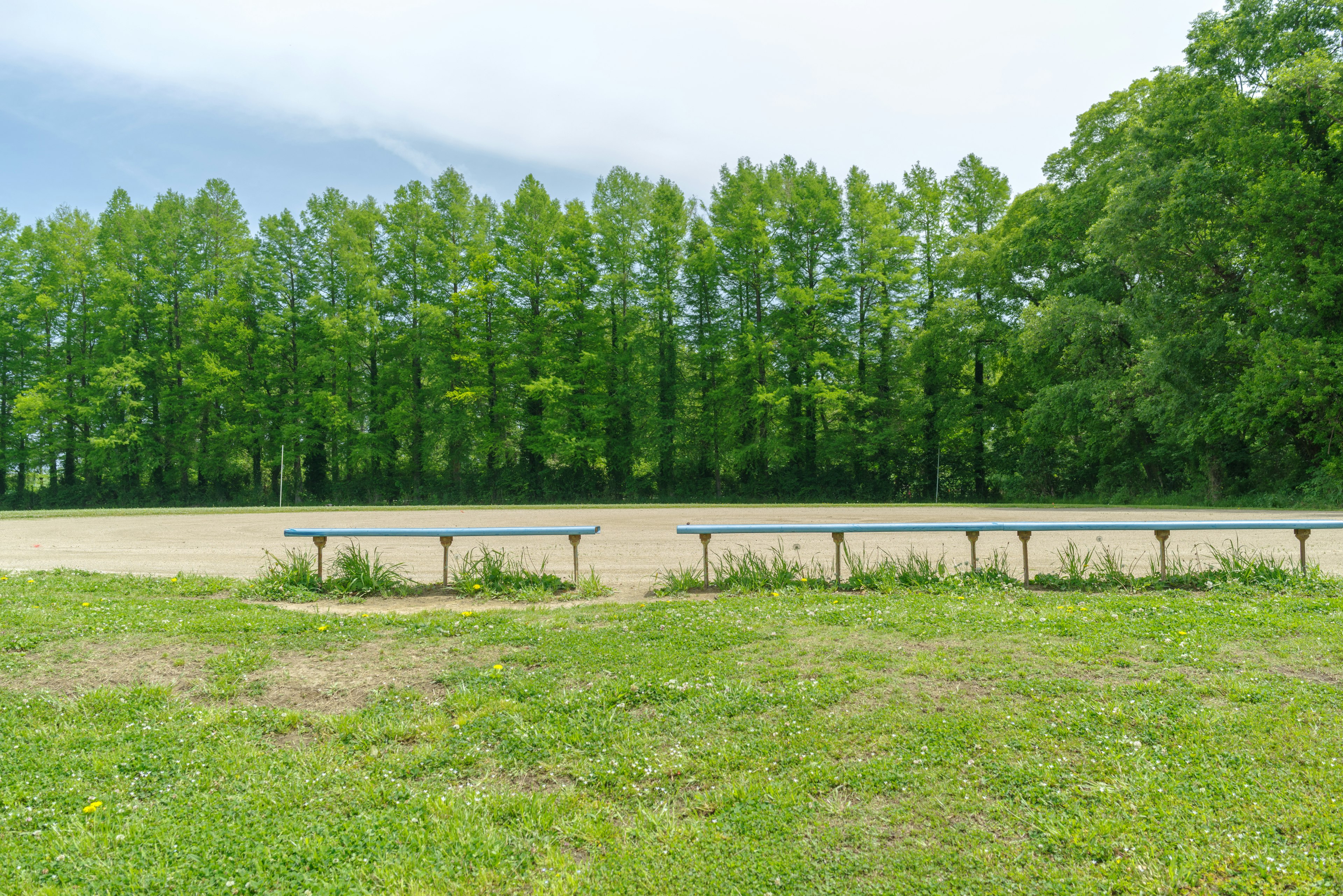 Un paysage avec une rangée de bancs devant des arbres verts et un champ ouvert