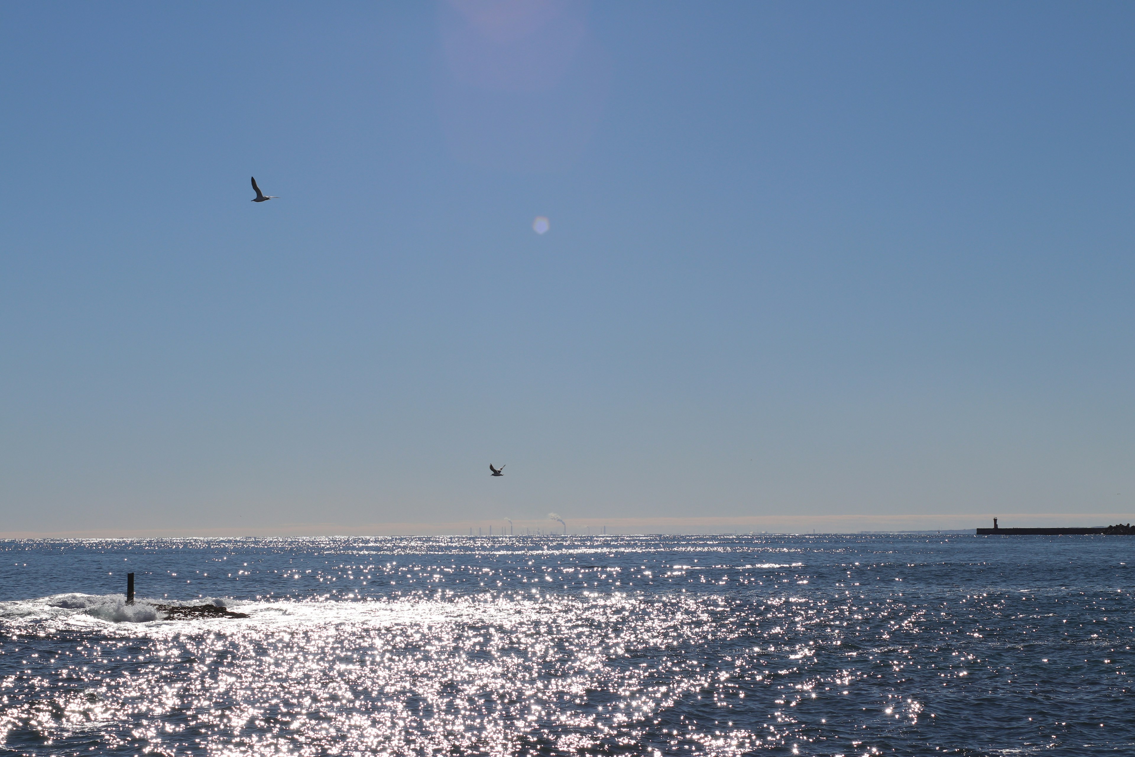 Paesaggio marino con acqua scintillante sotto un cielo blu chiaro e uccelli in volo