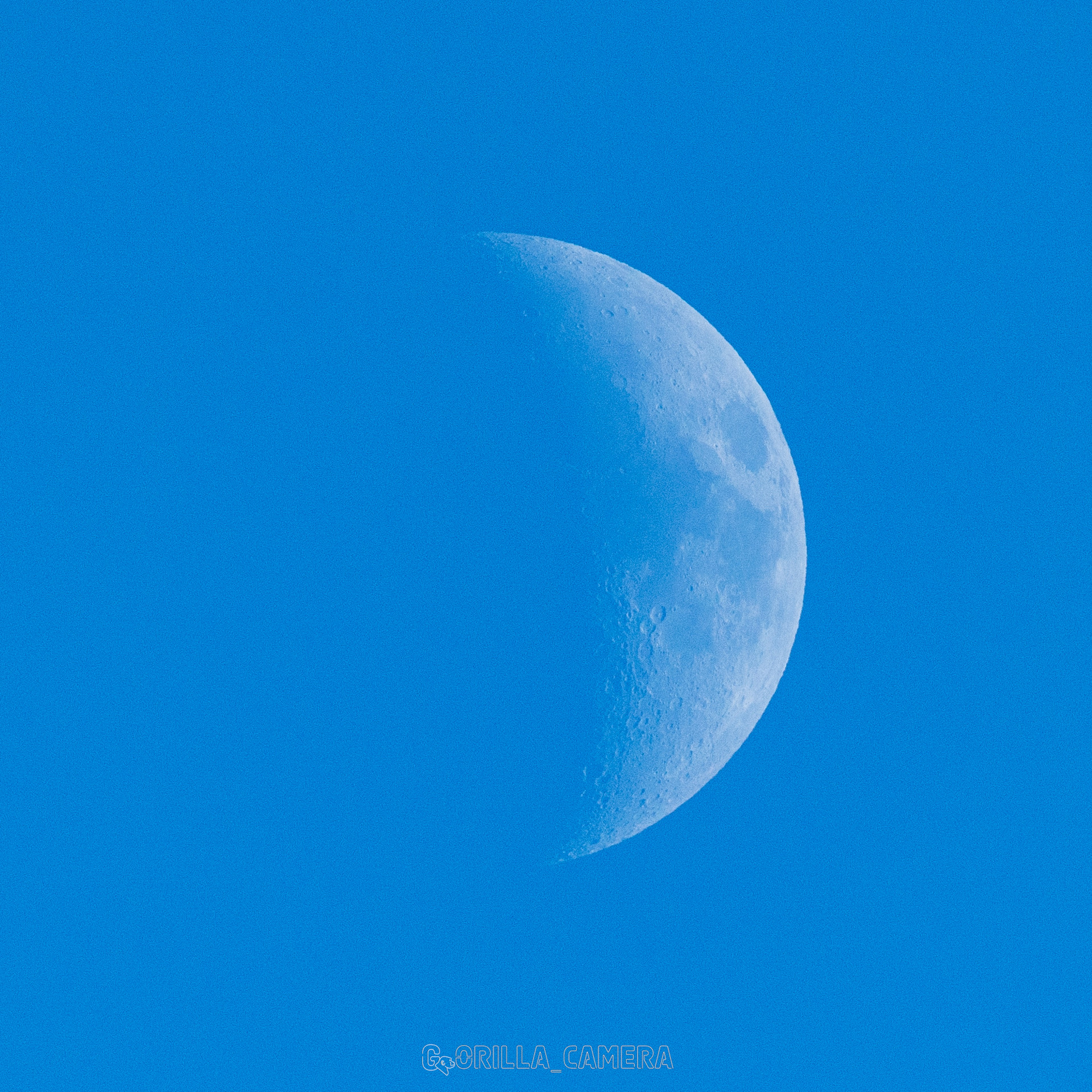 青い空に浮かぶ細い月の画像