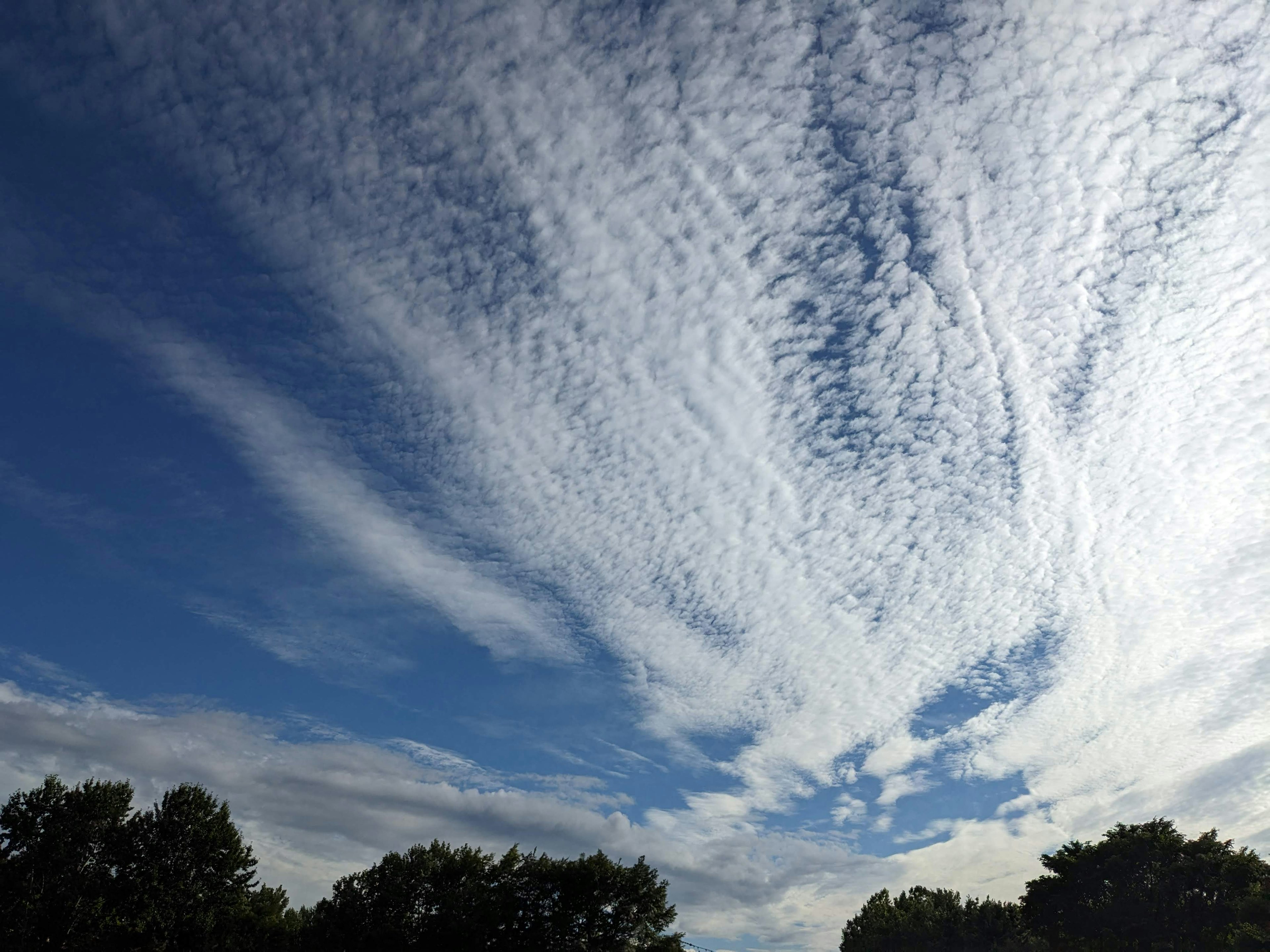 Patrones de nubes blancas en un cielo azul con árboles verdes