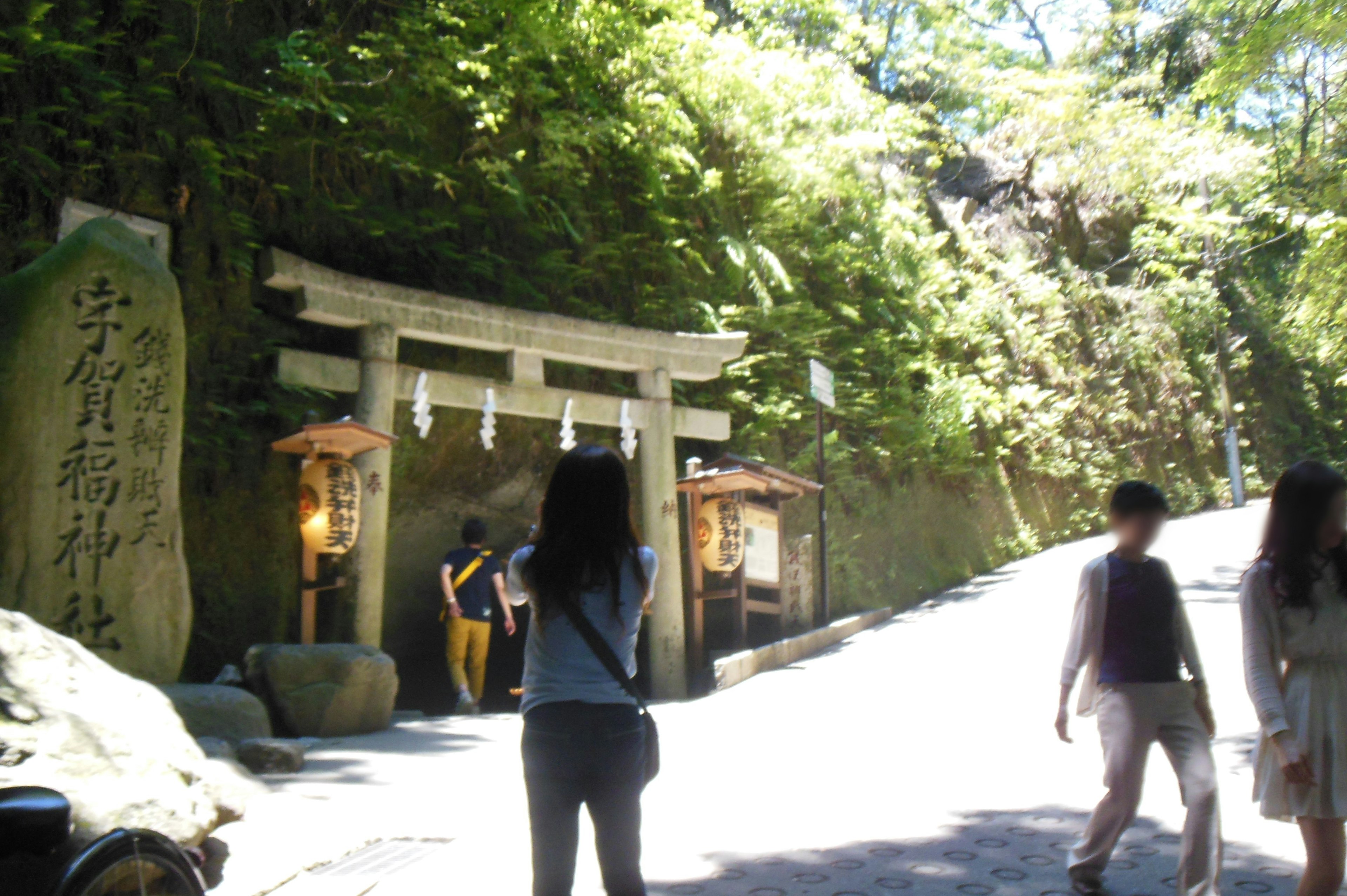 Scenic view of a shrine gate with visitors surrounded by lush greenery