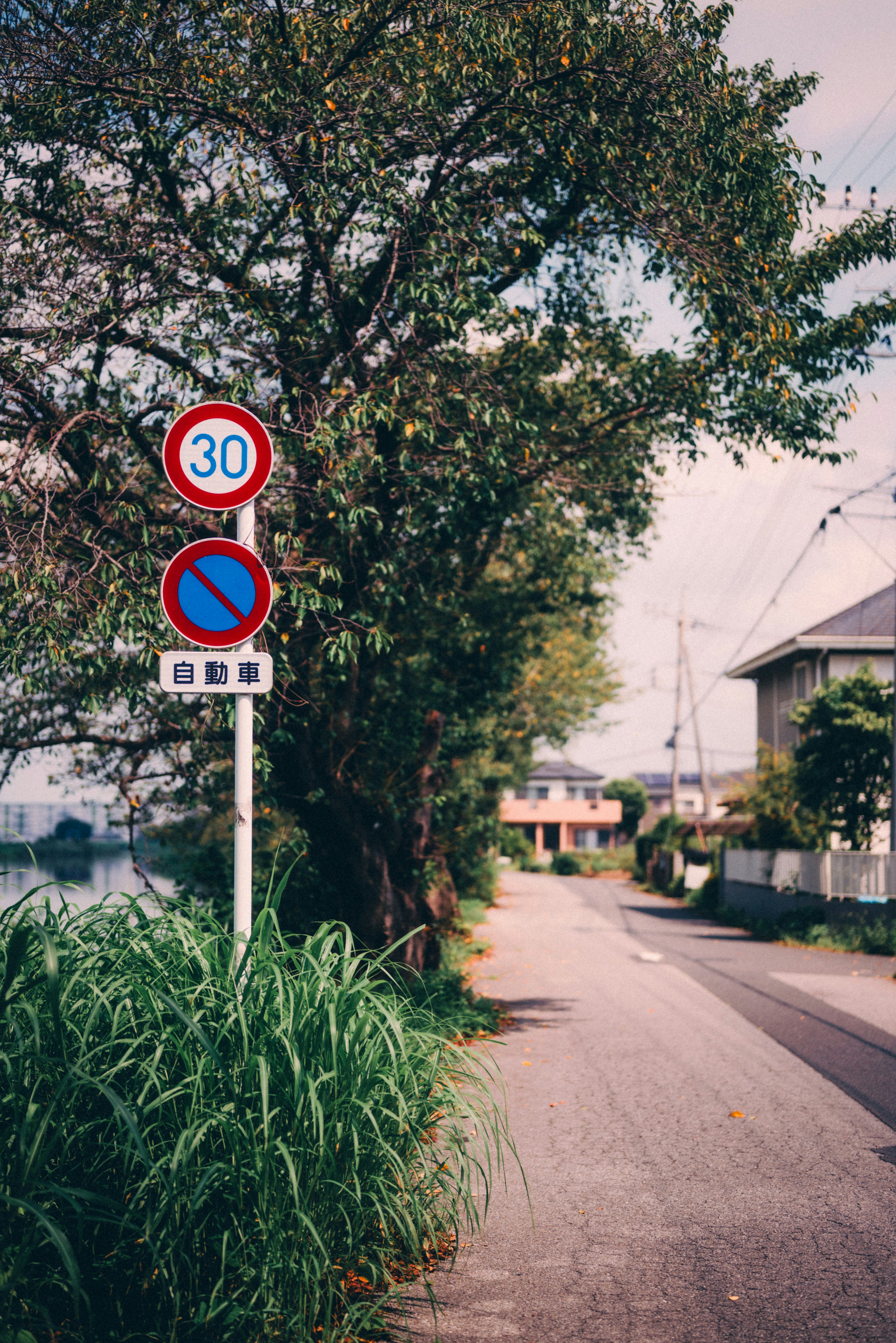 Segnali stradali che indicano un limite di velocità di 30 km/h e divieto di sosta in una zona residenziale tranquilla