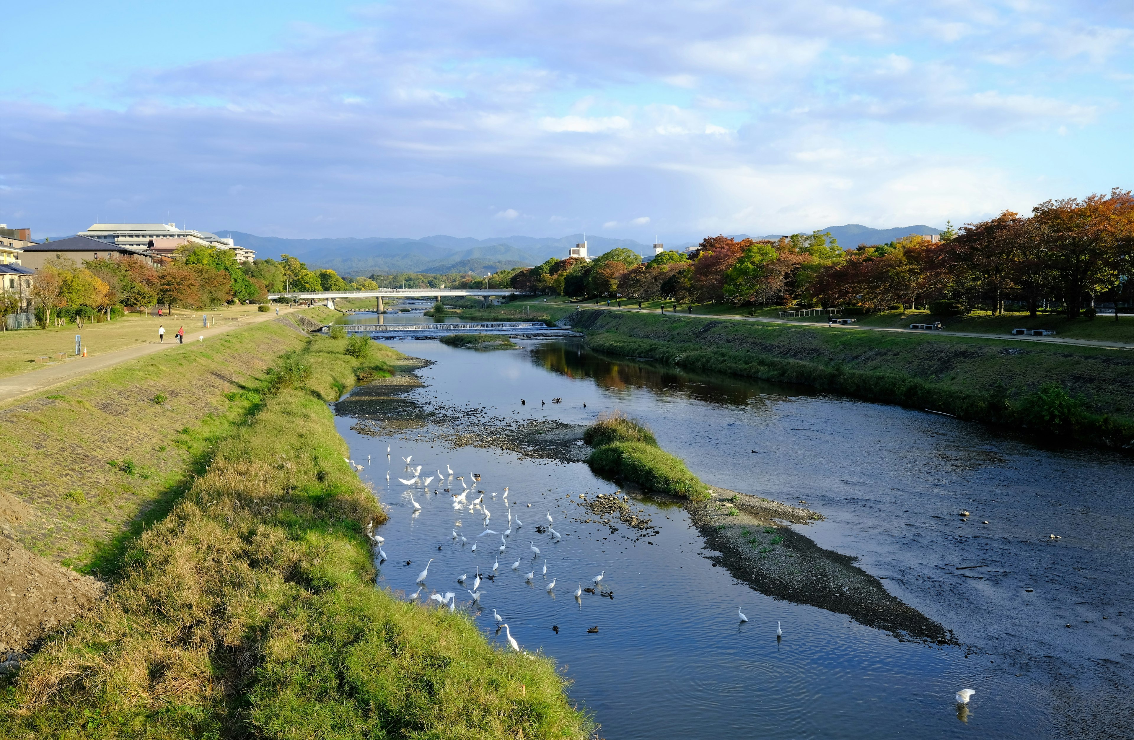 静かな川と緑の草地が広がる風景