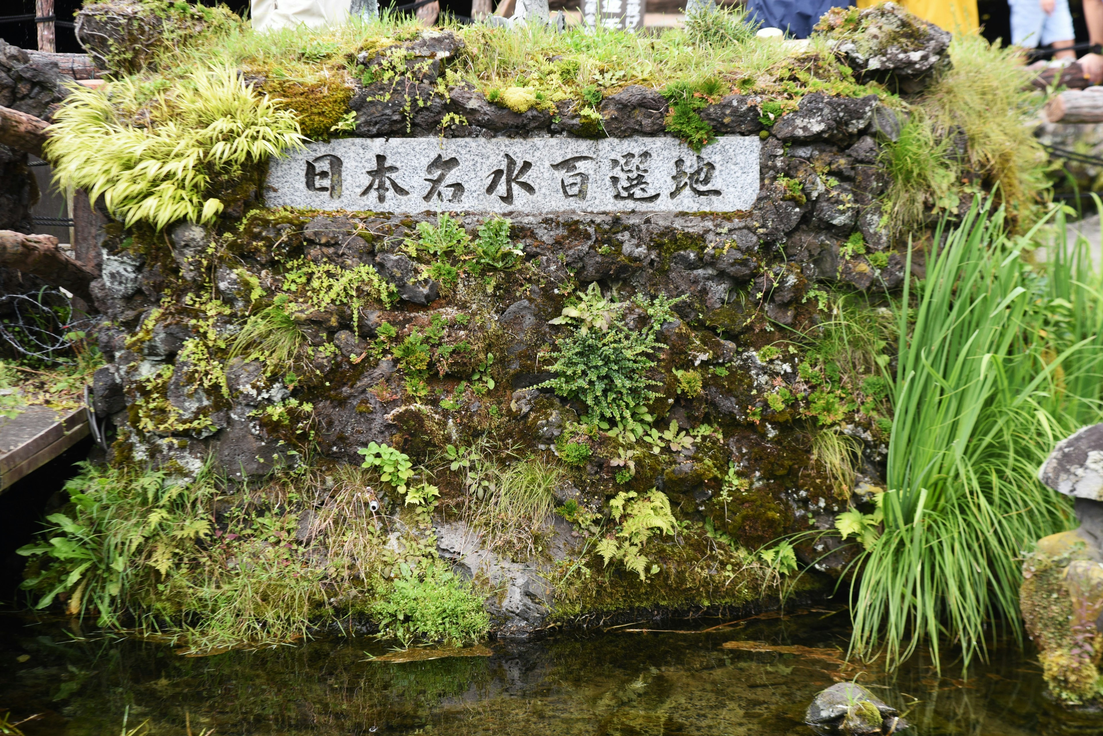 日本名水百選的石碑上有苔蘚和綠色植物