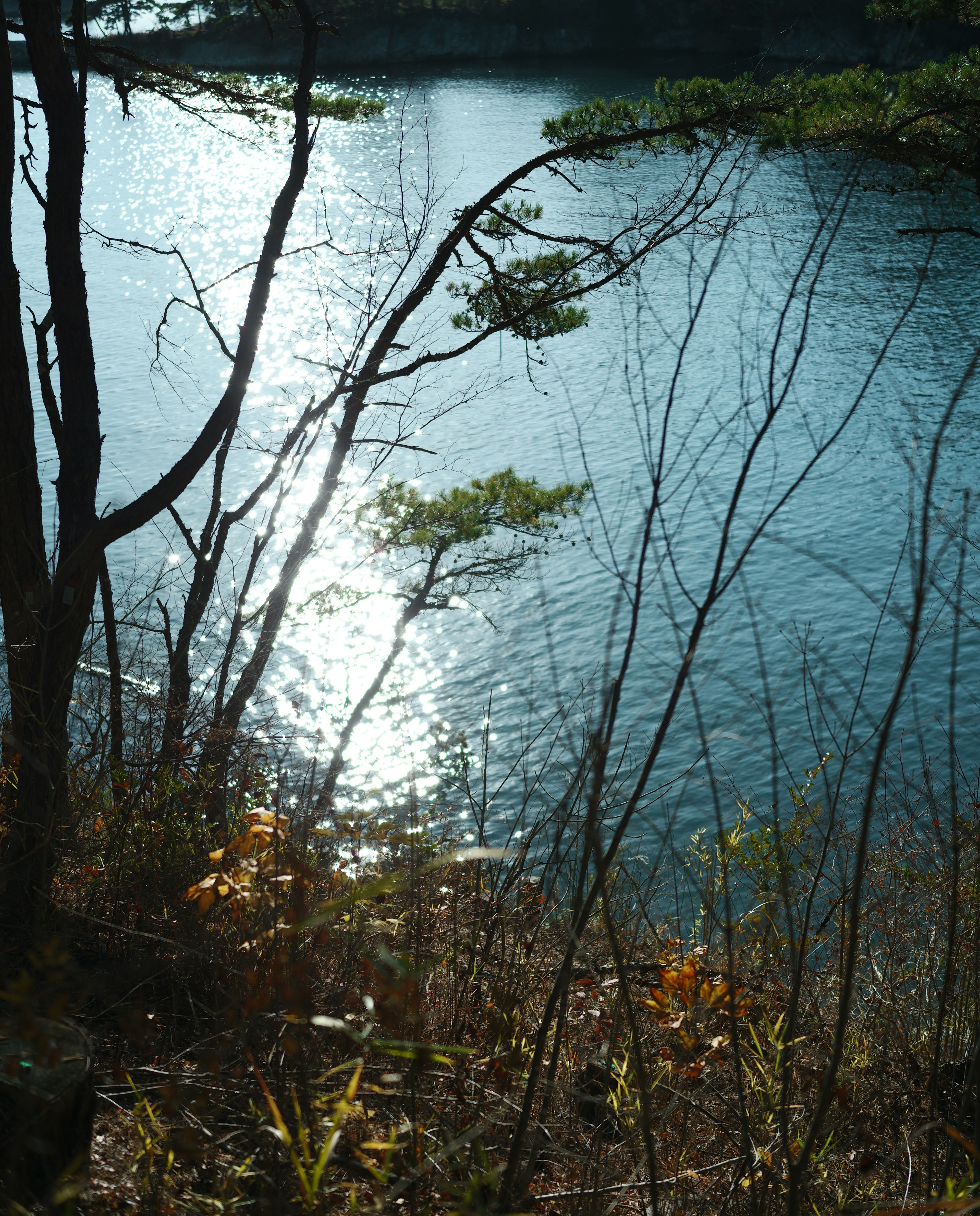 Ruhige Landschaft mit Sonnenlicht, das sich im Wasser spiegelt und silhouettierte Bäume