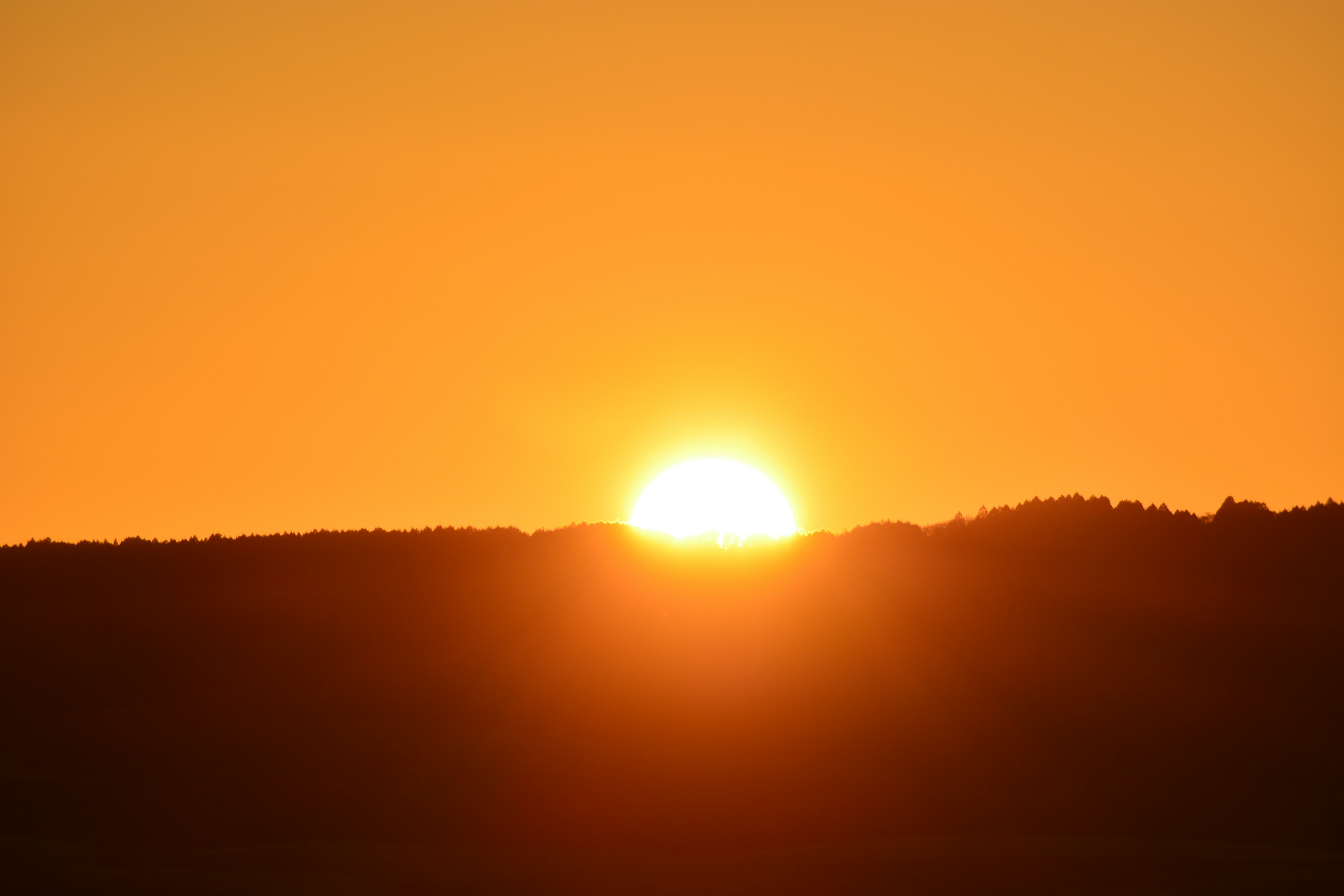 Bellissimo alba con il sole che sorge all'orizzonte