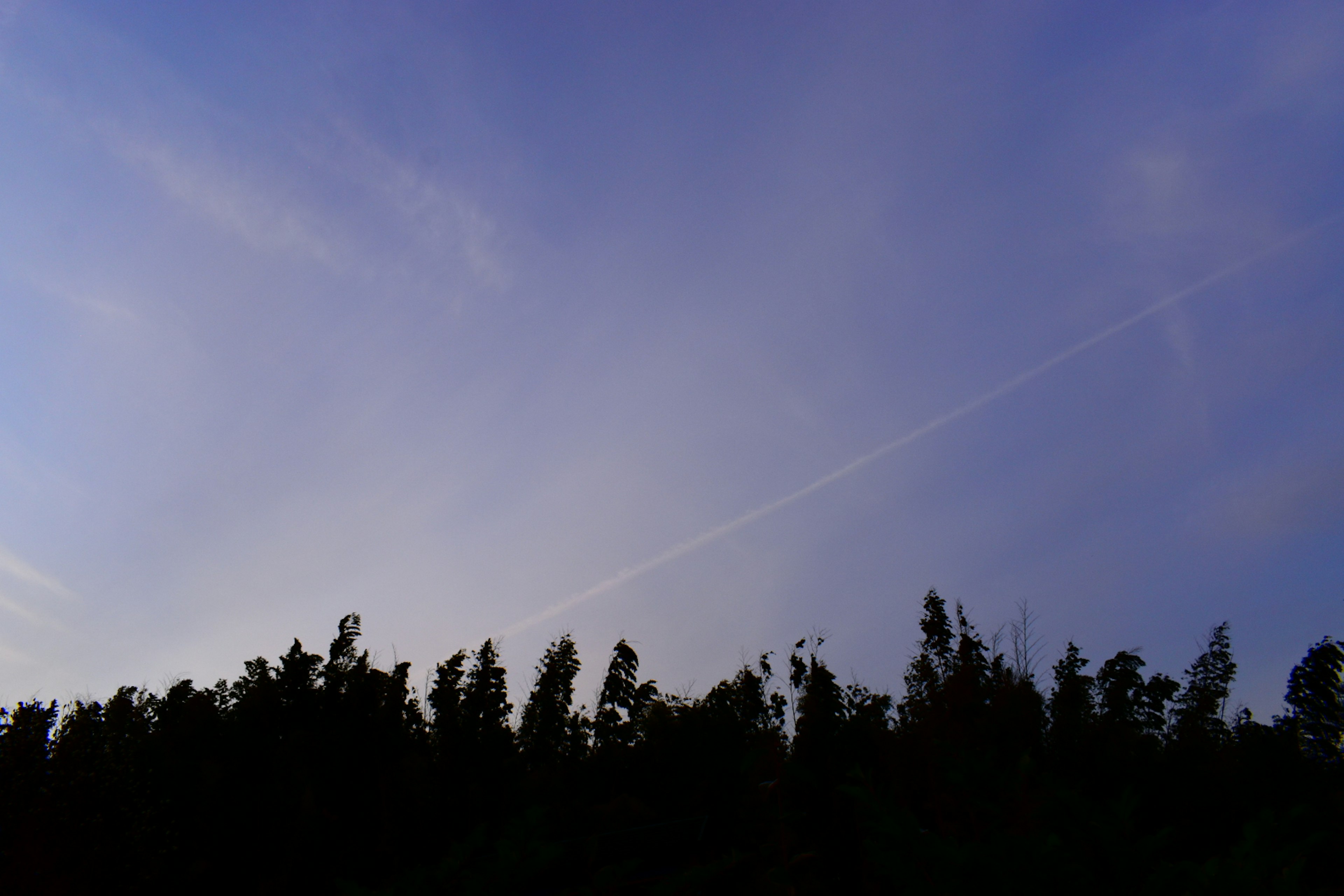 Silueta de árboles contra un cielo azul