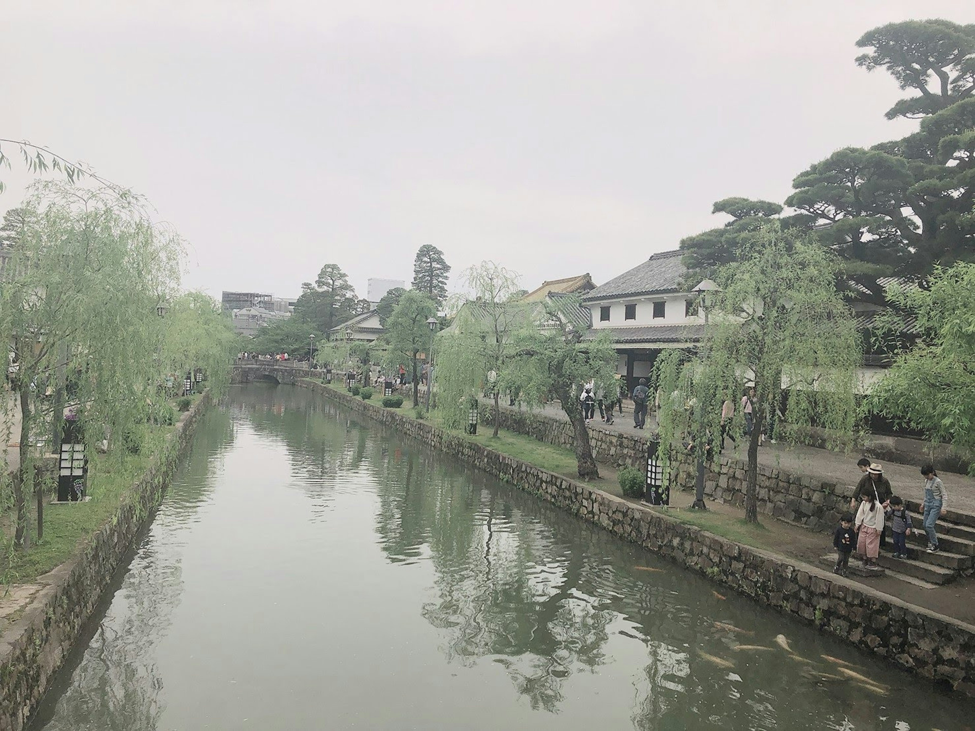 Tranquil canal lined with green trees and traditional buildings