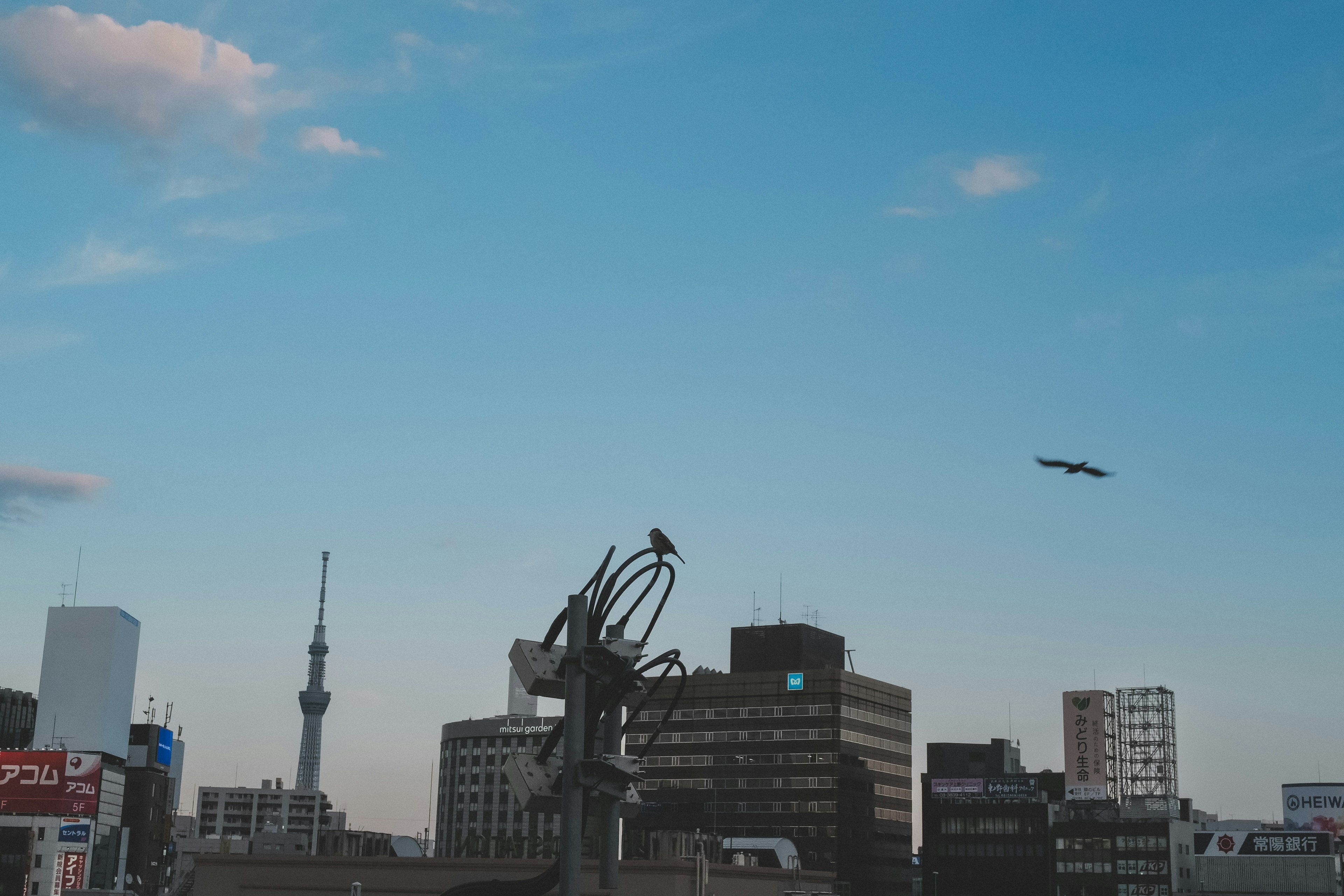 Horizonte urbano con la Tokyo Skytree bajo un cielo azul