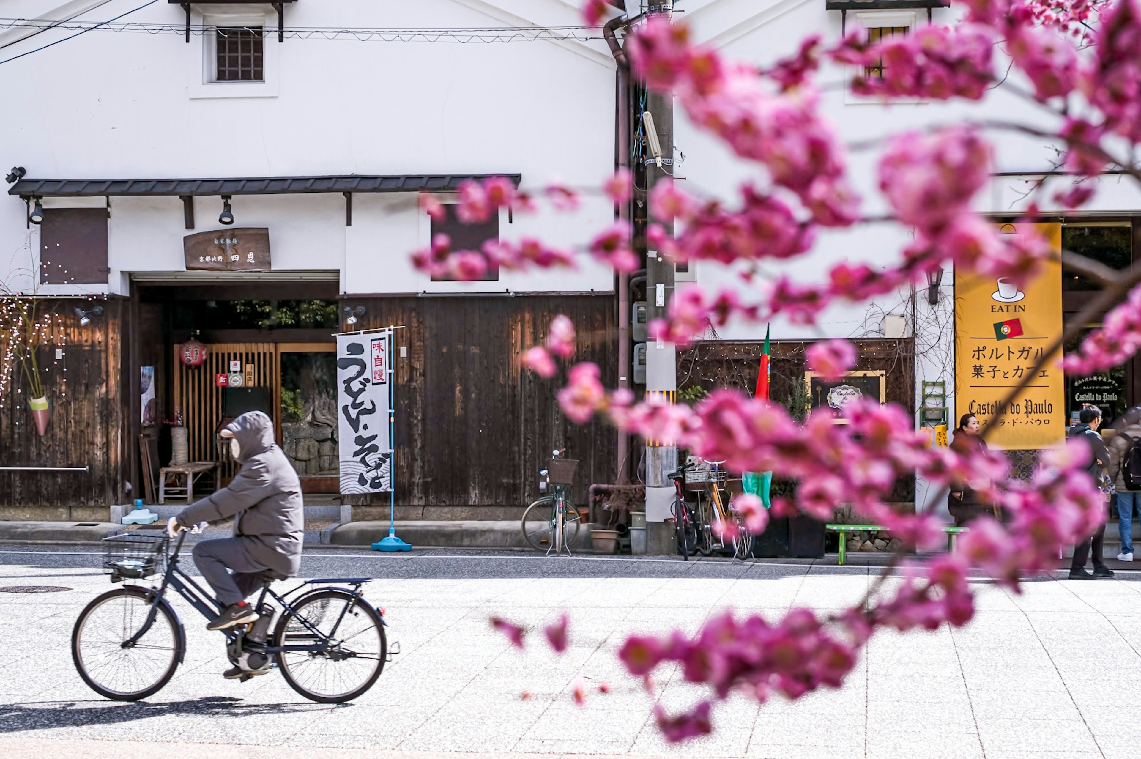 Seseorang yang mengendarai sepeda dengan pohon sakura di latar depan dan bangunan Jepang tradisional di latar belakang