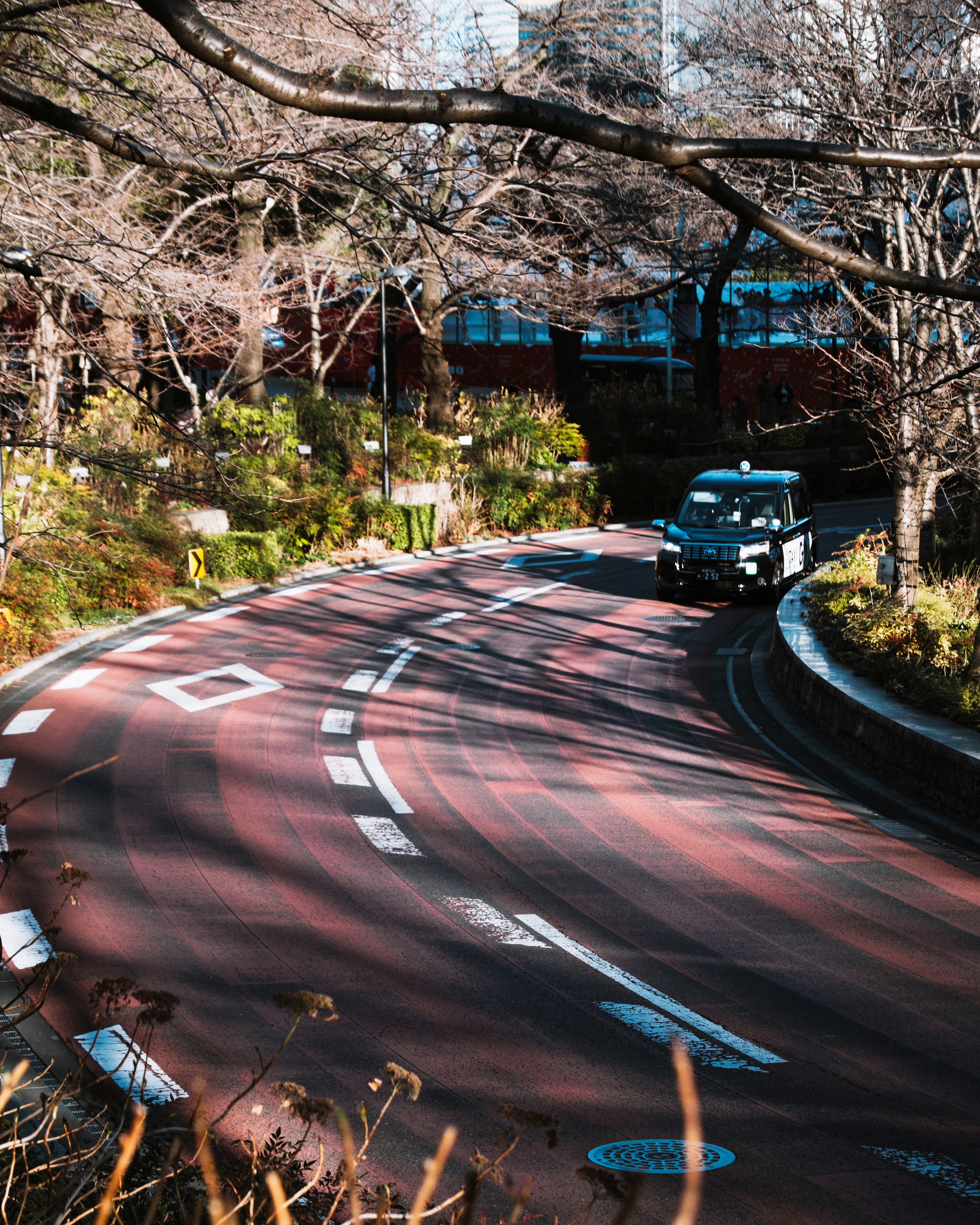 緑の植栽に囲まれたカーブした道路を走る車