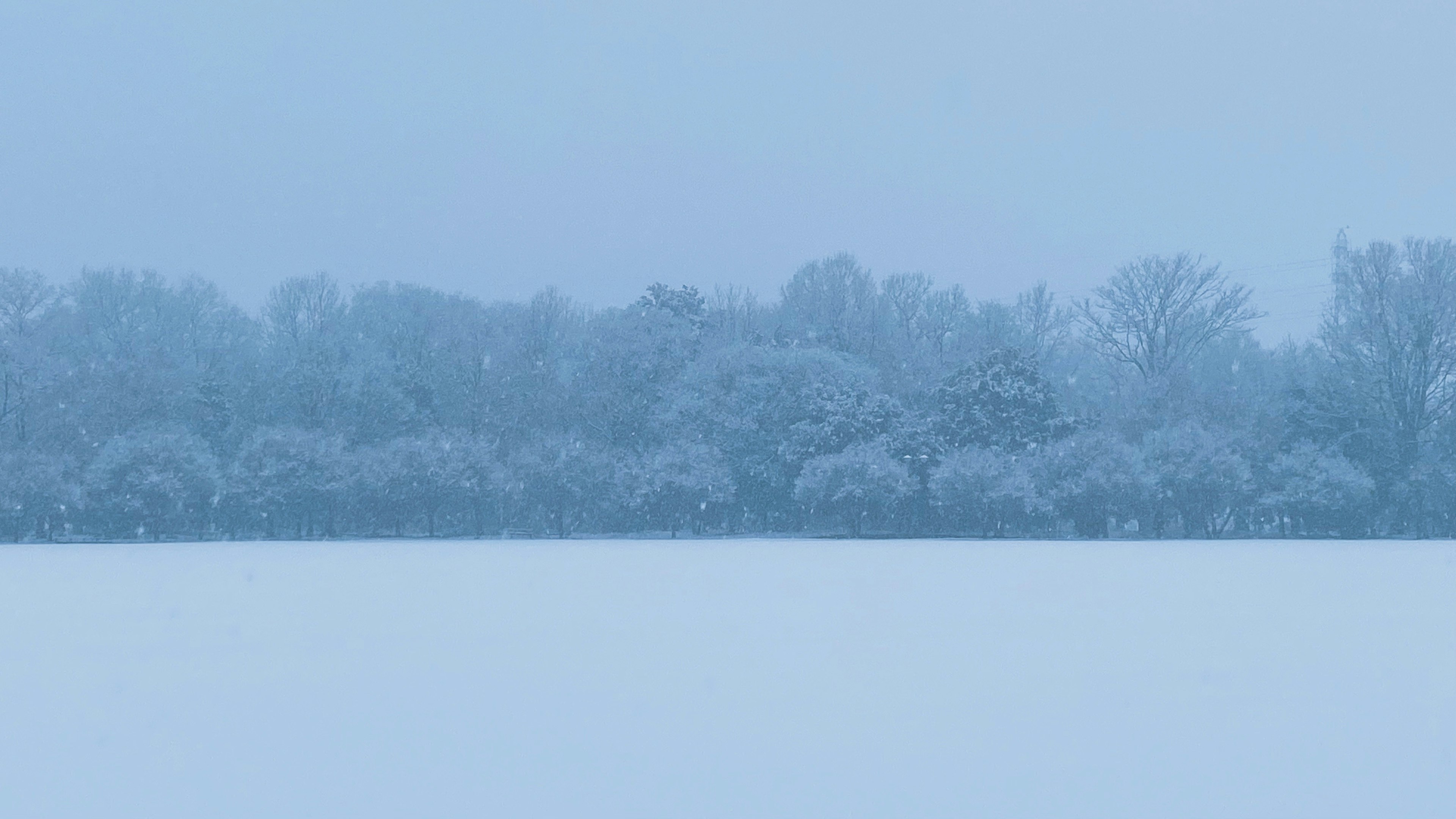 雪に覆われた風景に薄明かりが差し込む静かな冬のシーン