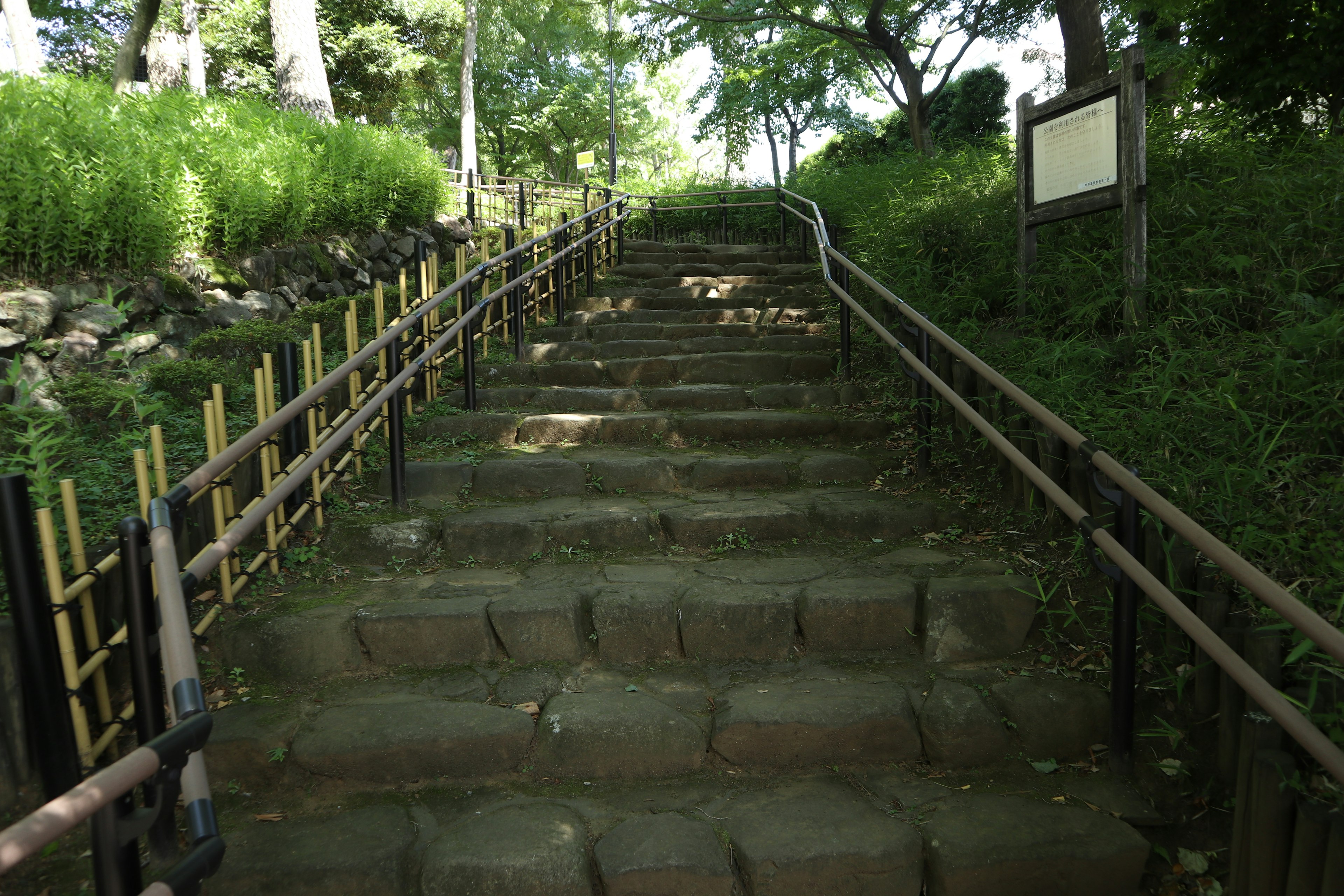 Steinige Treppen, die durch üppiges Grün in einem Park führen