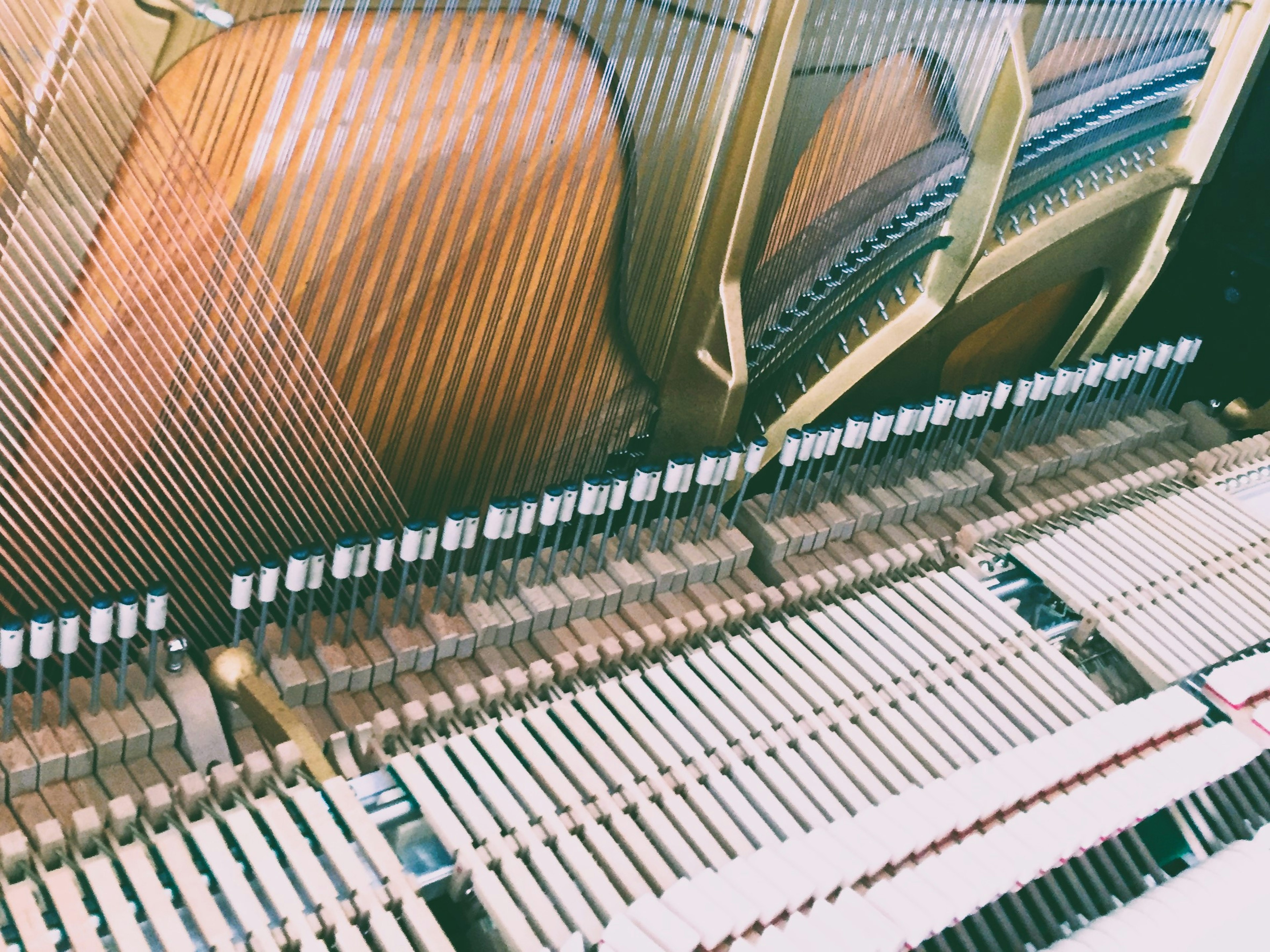 Vista ravvicinata della struttura interna di un pianoforte che mostra i tasti e i meccanismi del martello