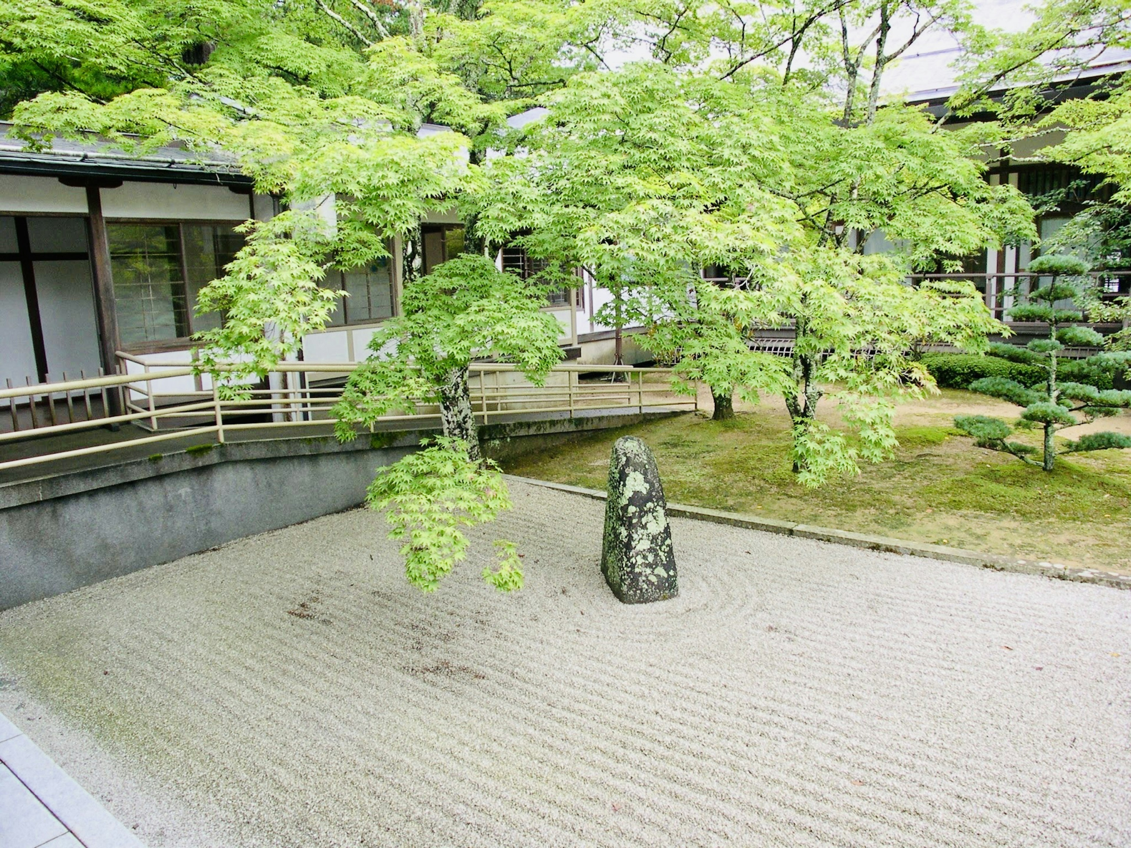 Japanese garden scene featuring green trees and a stone