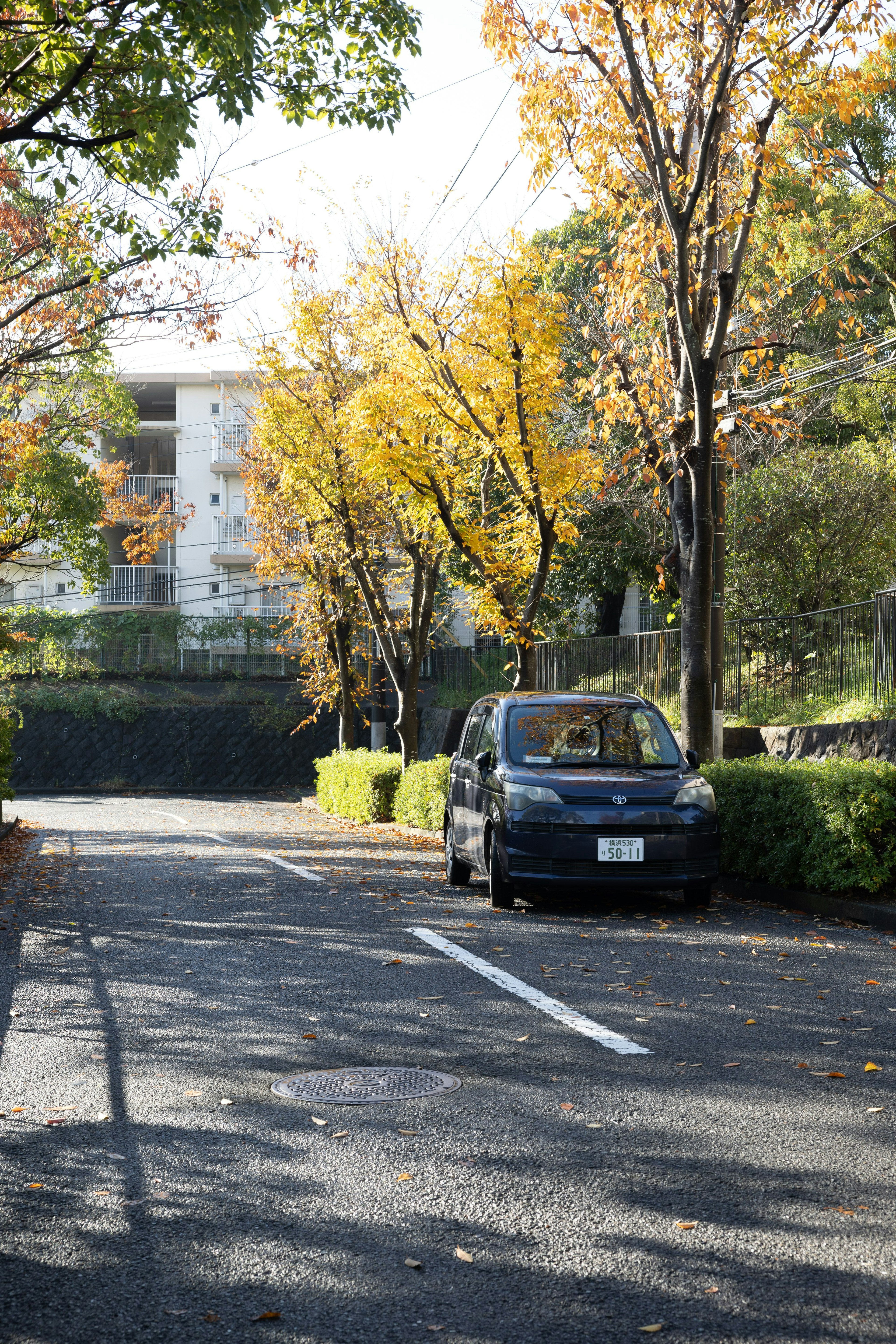 Un'auto parcheggiata su una strada tranquilla fiancheggiata da alberi dai colori autunnali
