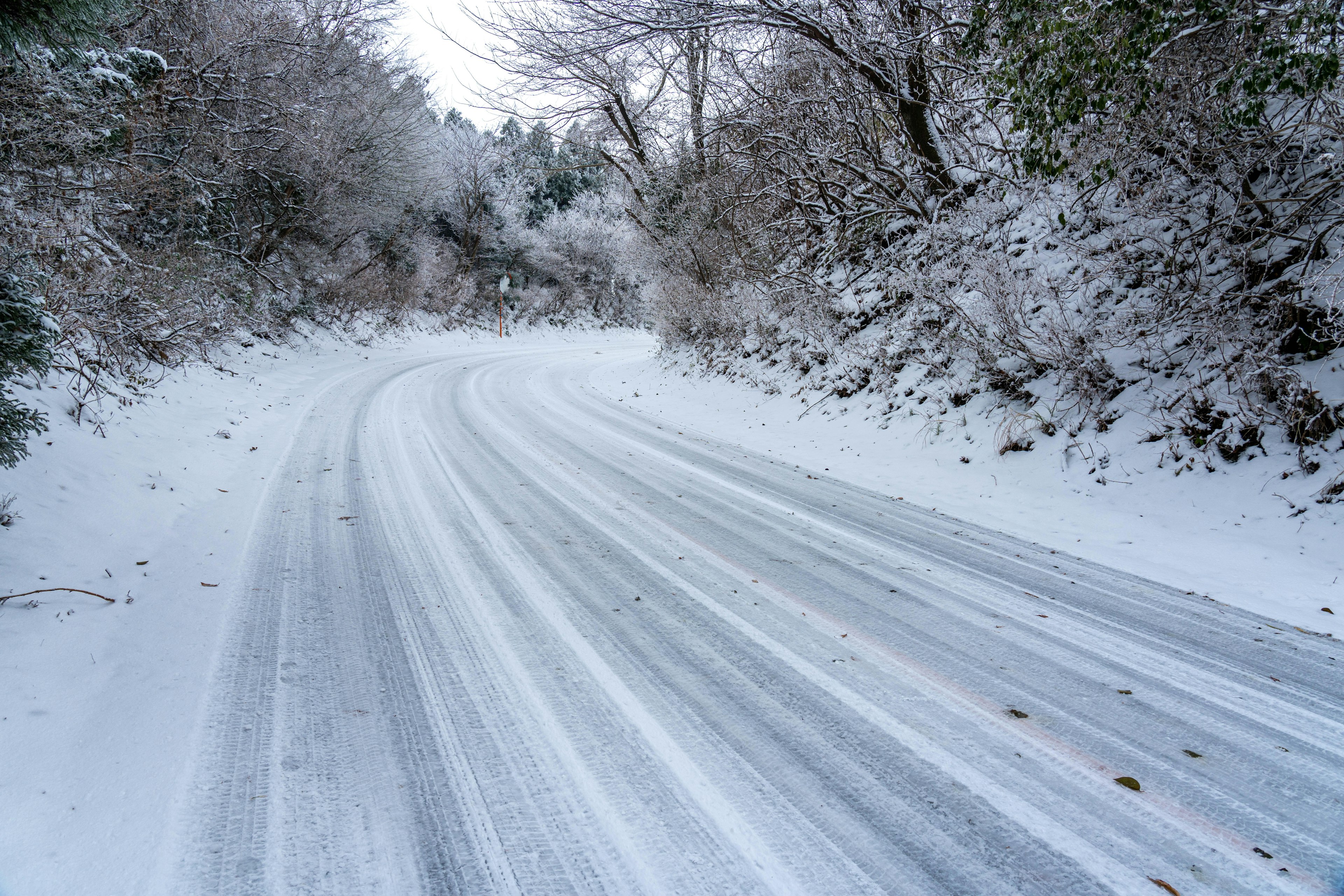 被雪覆盖的蜿蜒道路，四周环绕着树木