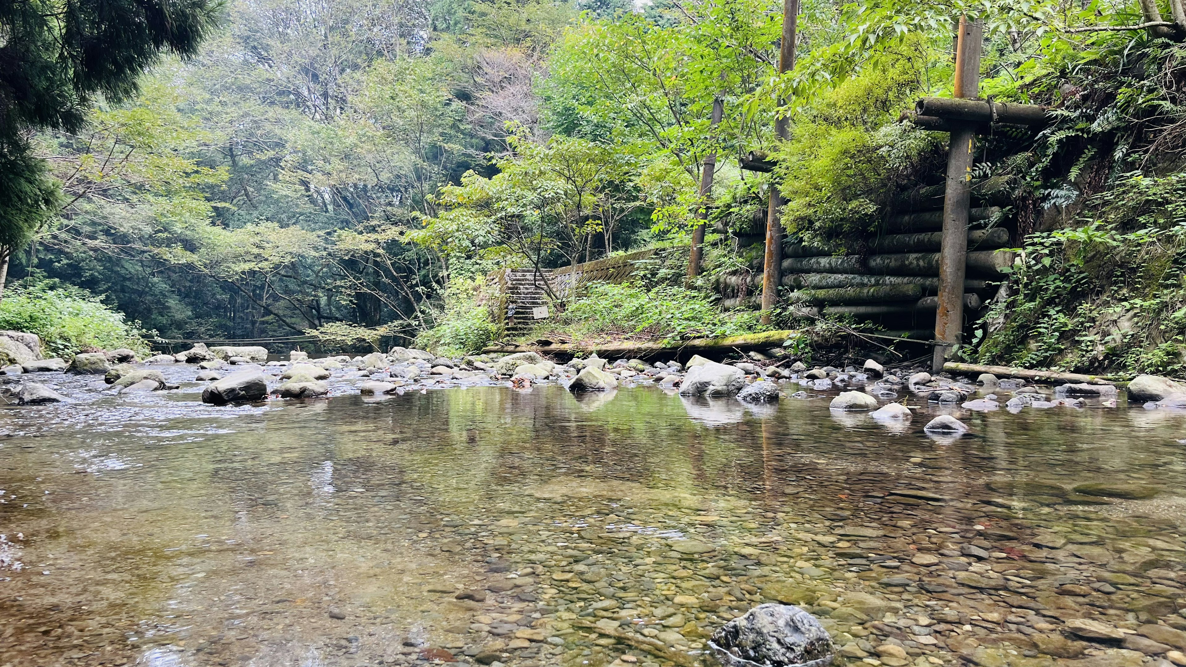 Khung cảnh đẹp của dòng sông trong vắt được bao quanh bởi cây cối tươi tốt