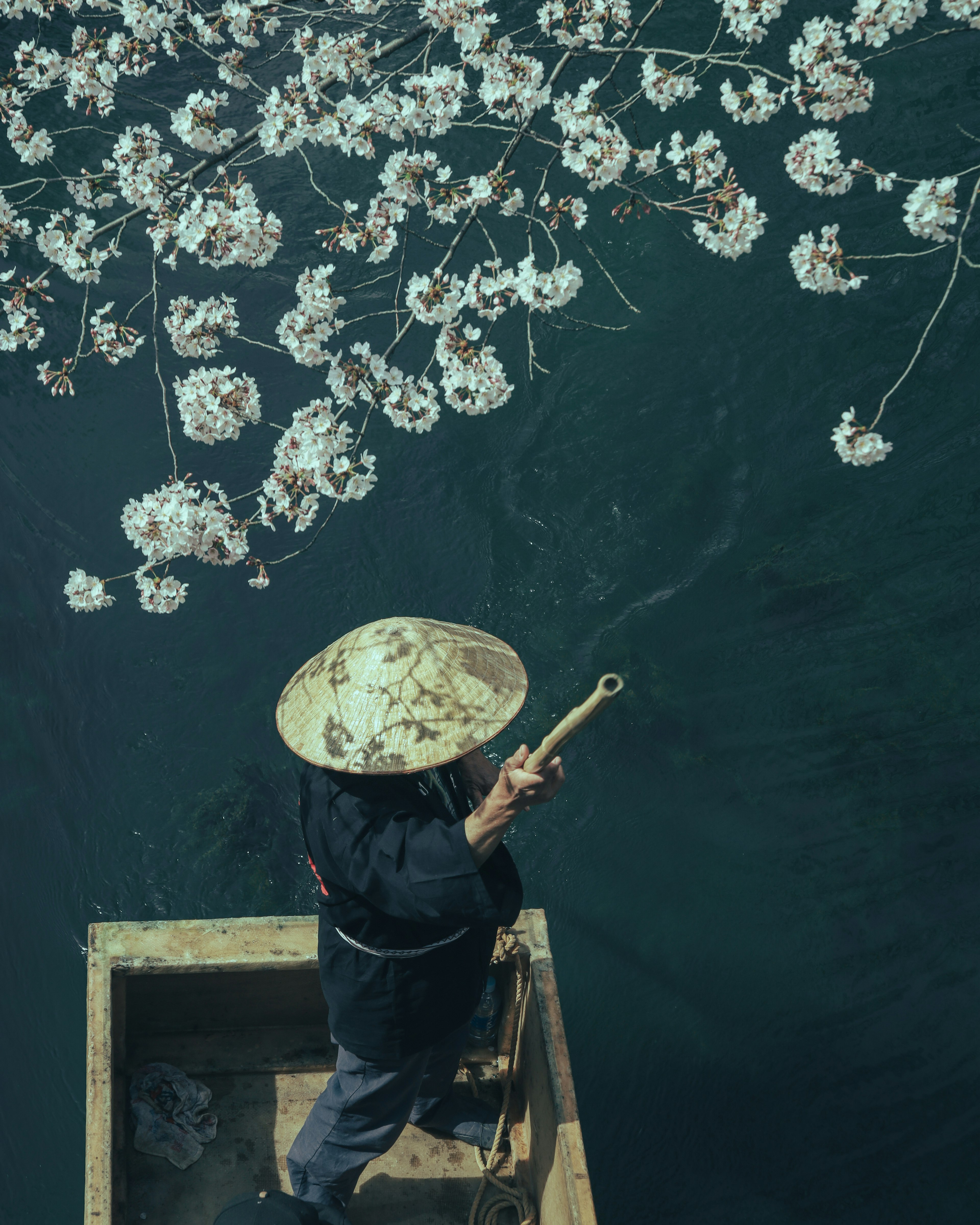 Mann fischt am Wasser mit Kirschblüten darüber