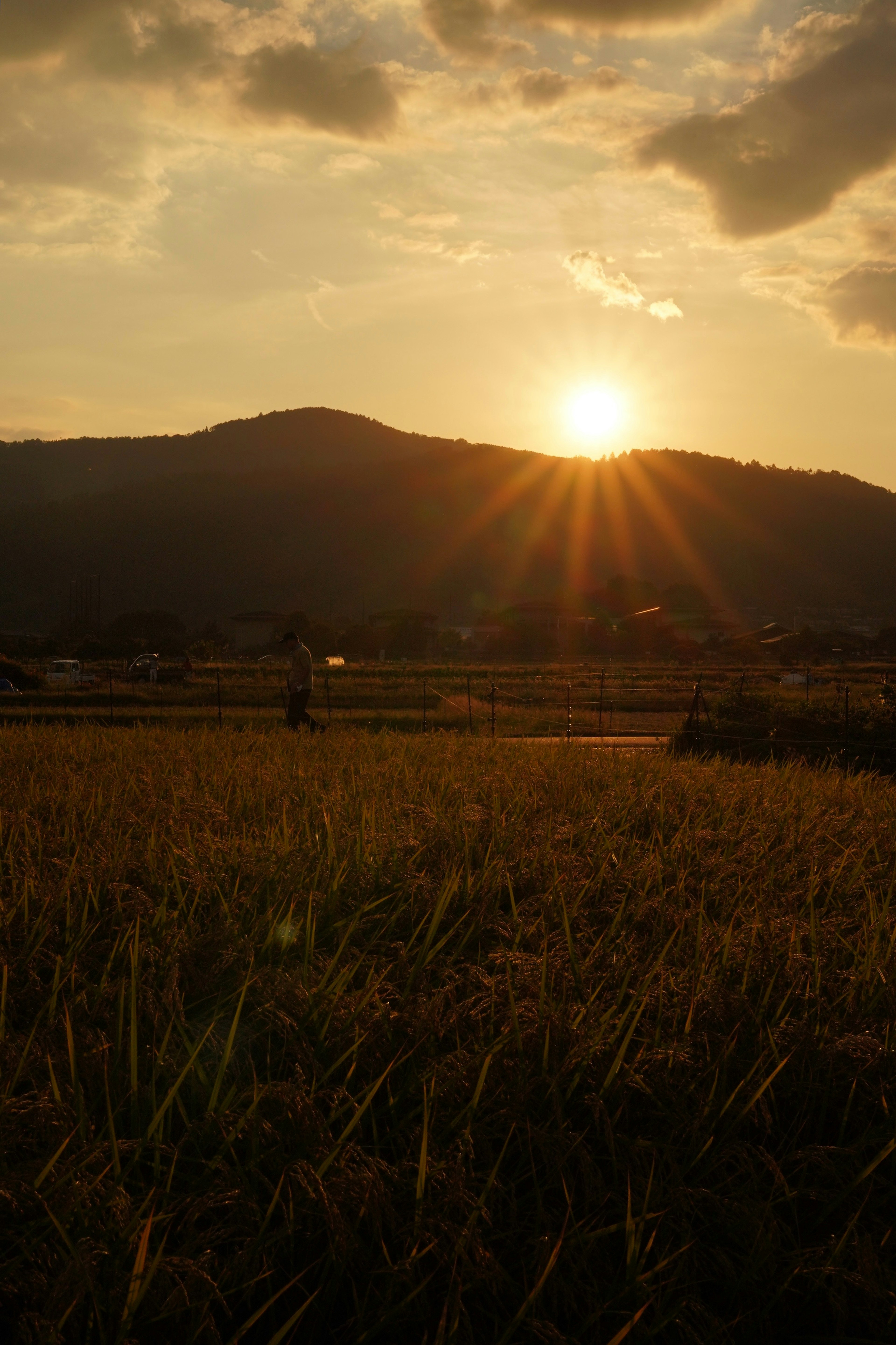 Atardecer sobre un paisaje rural con montañas