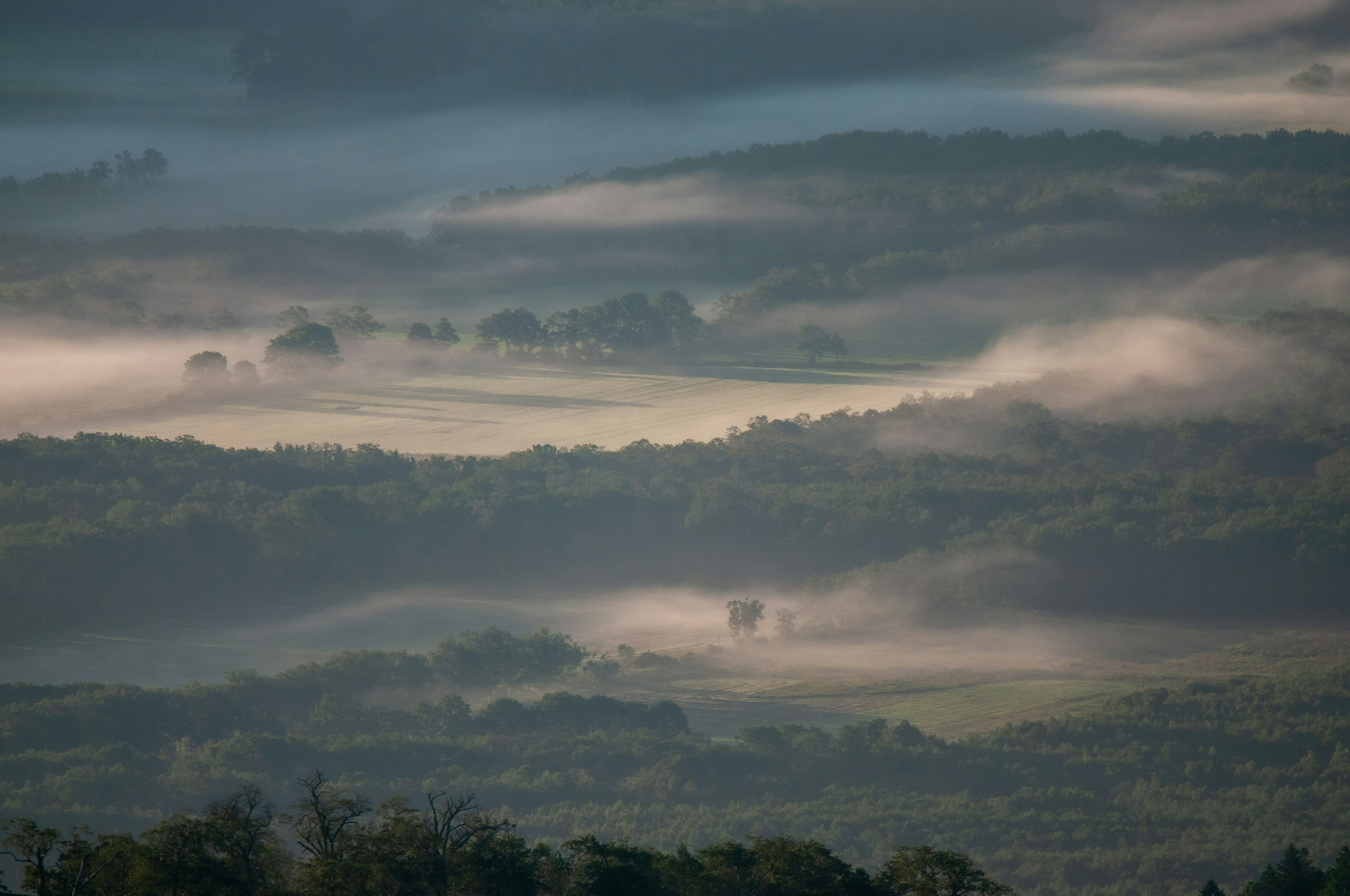 Misty green hills with soft light in the landscape