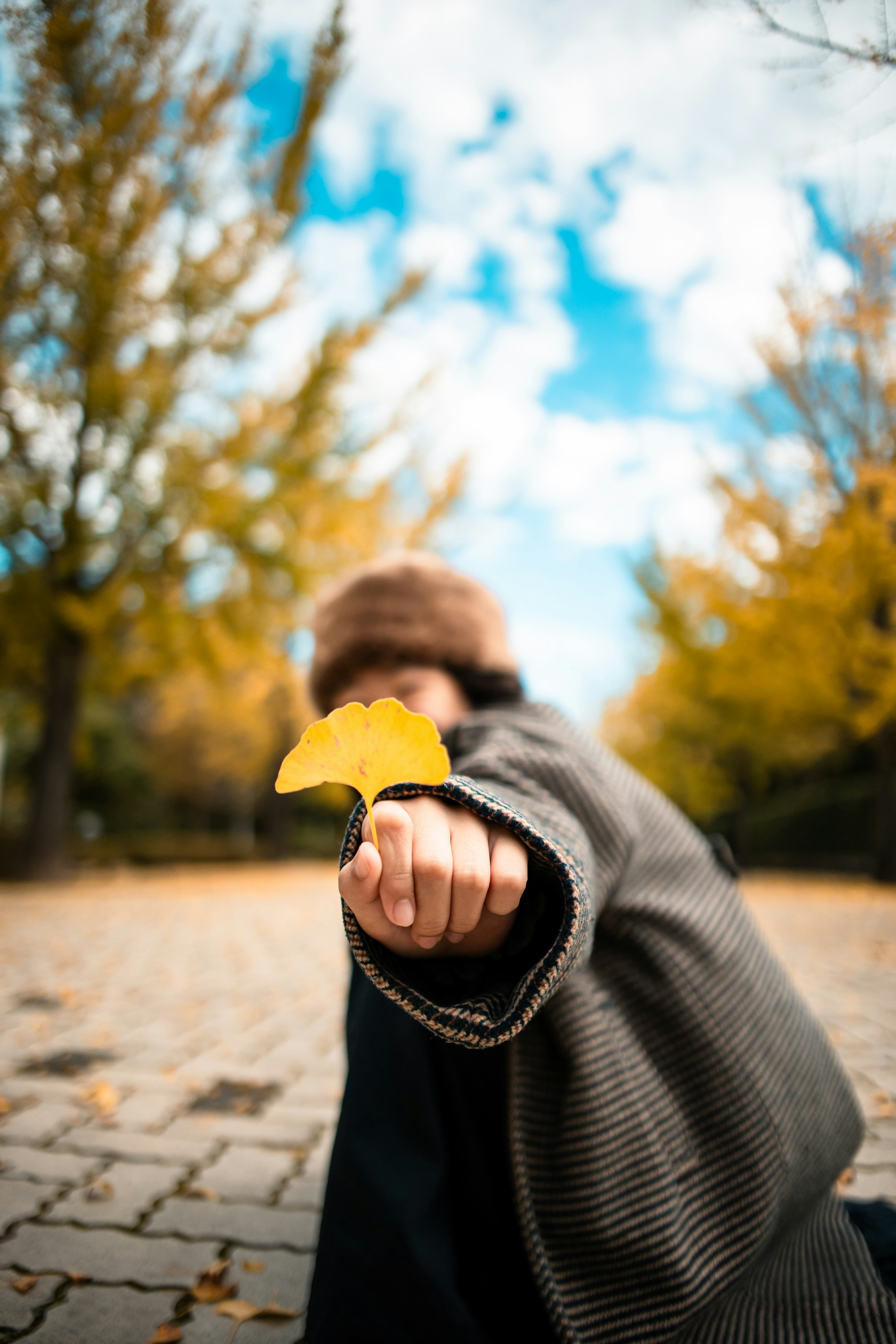 Person, der ein gelbes Blatt in einem Park im Herbst hält, mit Bäumen im Hintergrund