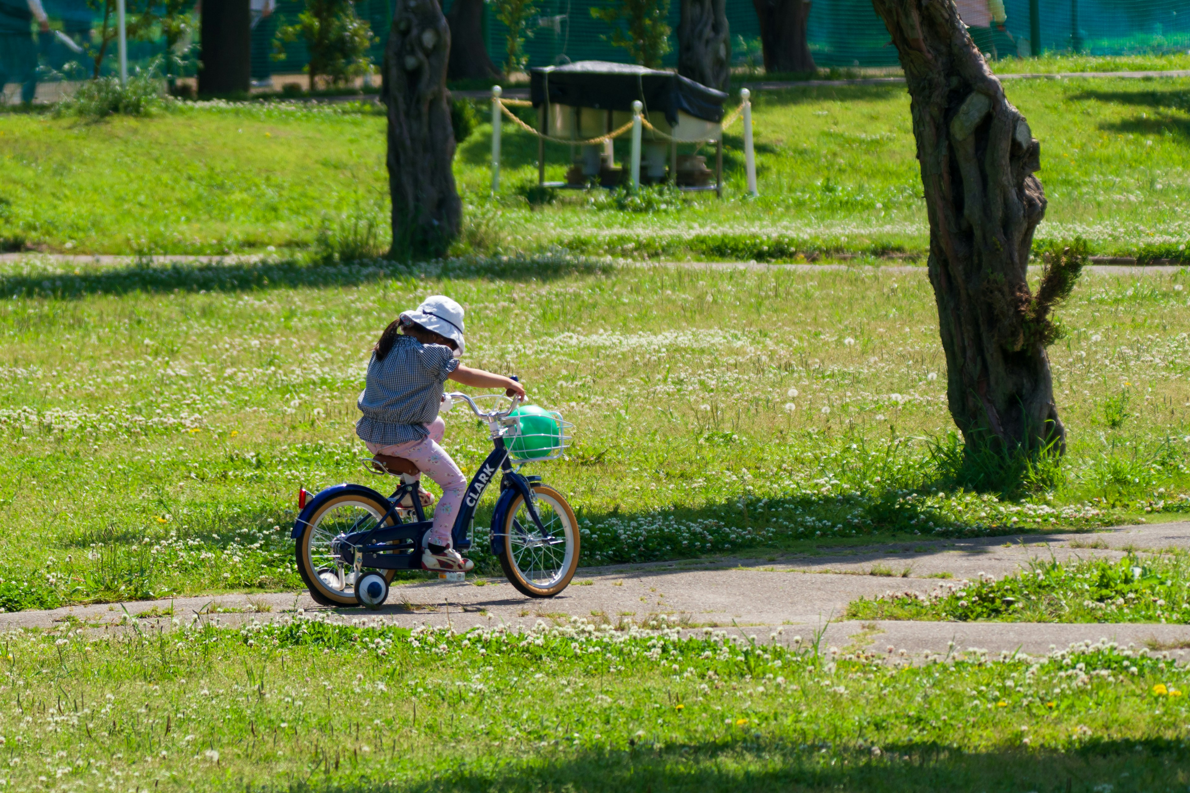 Child riding a bicycle in a green park